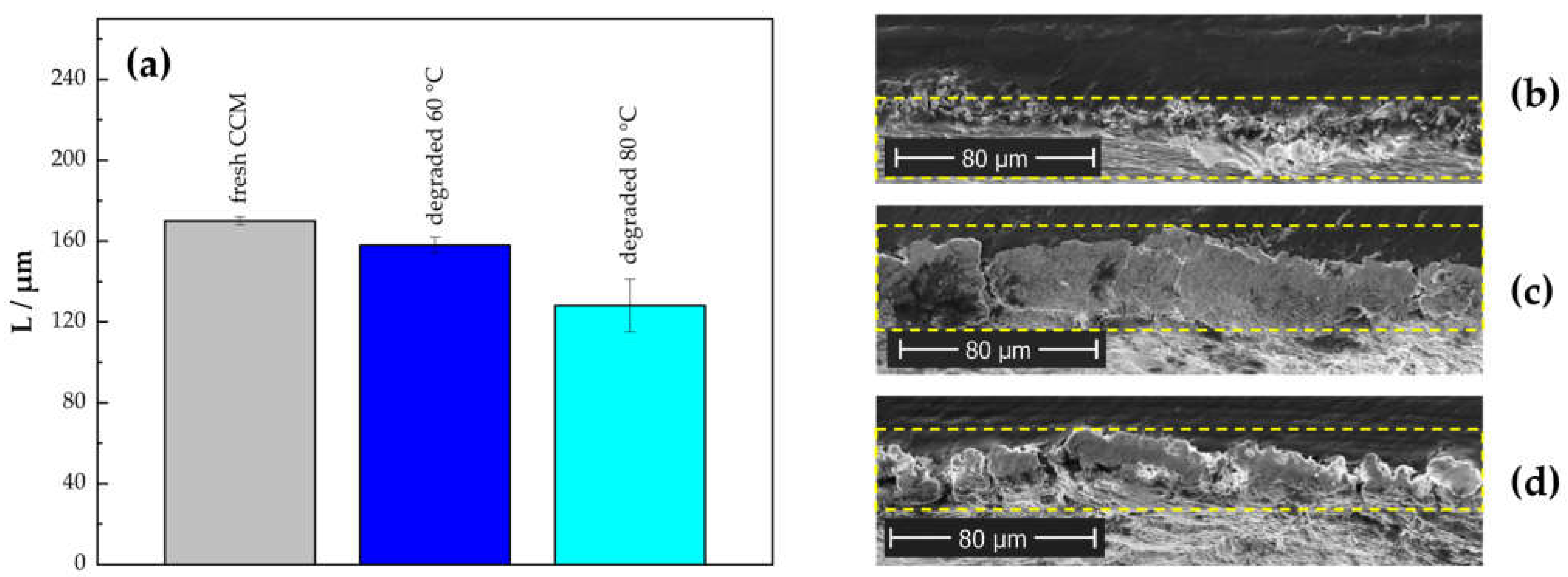 Membranes 13 00348 g009