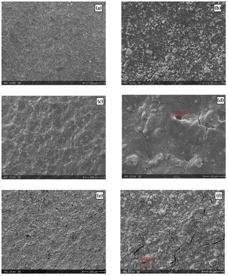 Membranes 13 00348 g010