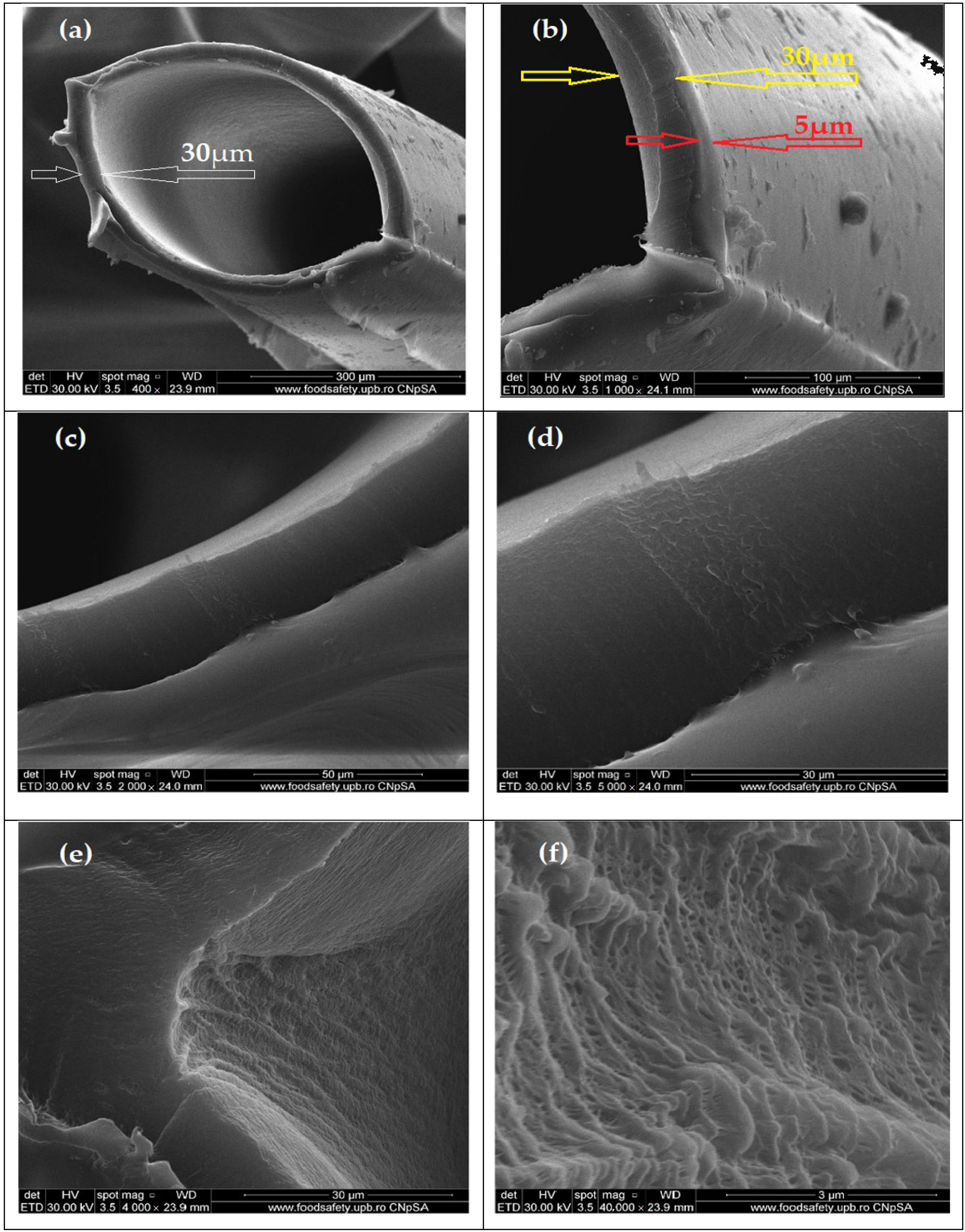 Membranes 13 00350 g004 Membranes 13 00350 g004