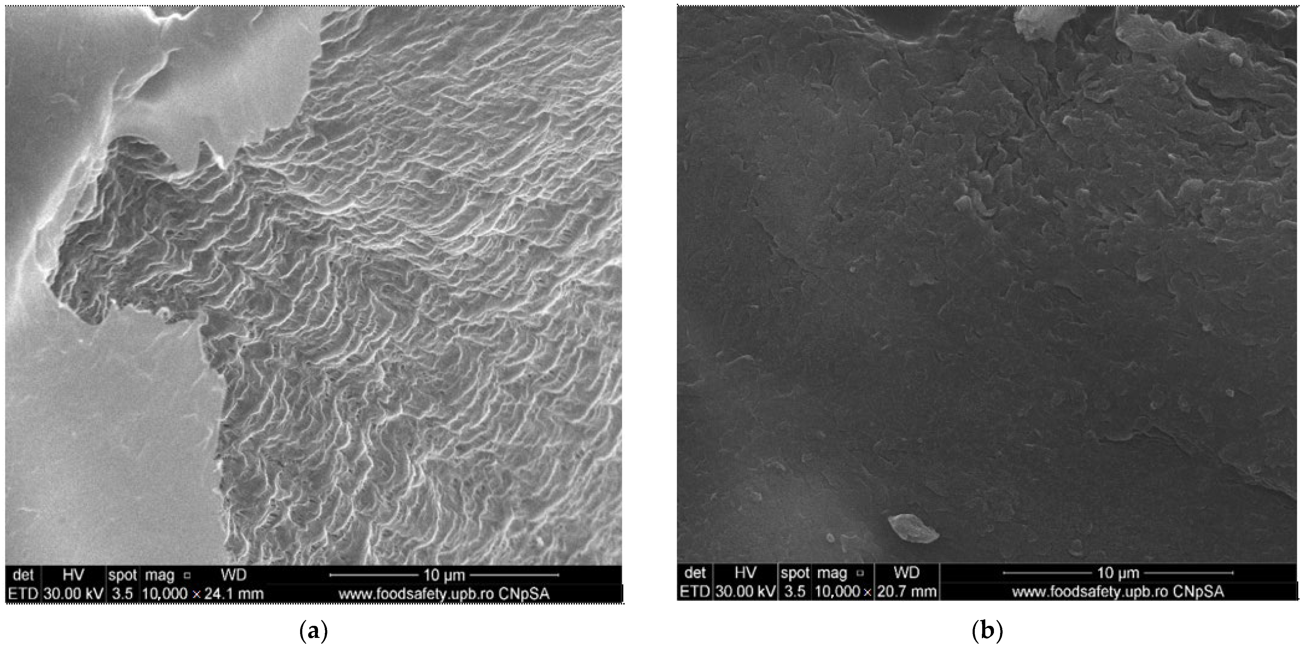 Membranes 13 00350 g005a Membranes 13 00350 g005a
