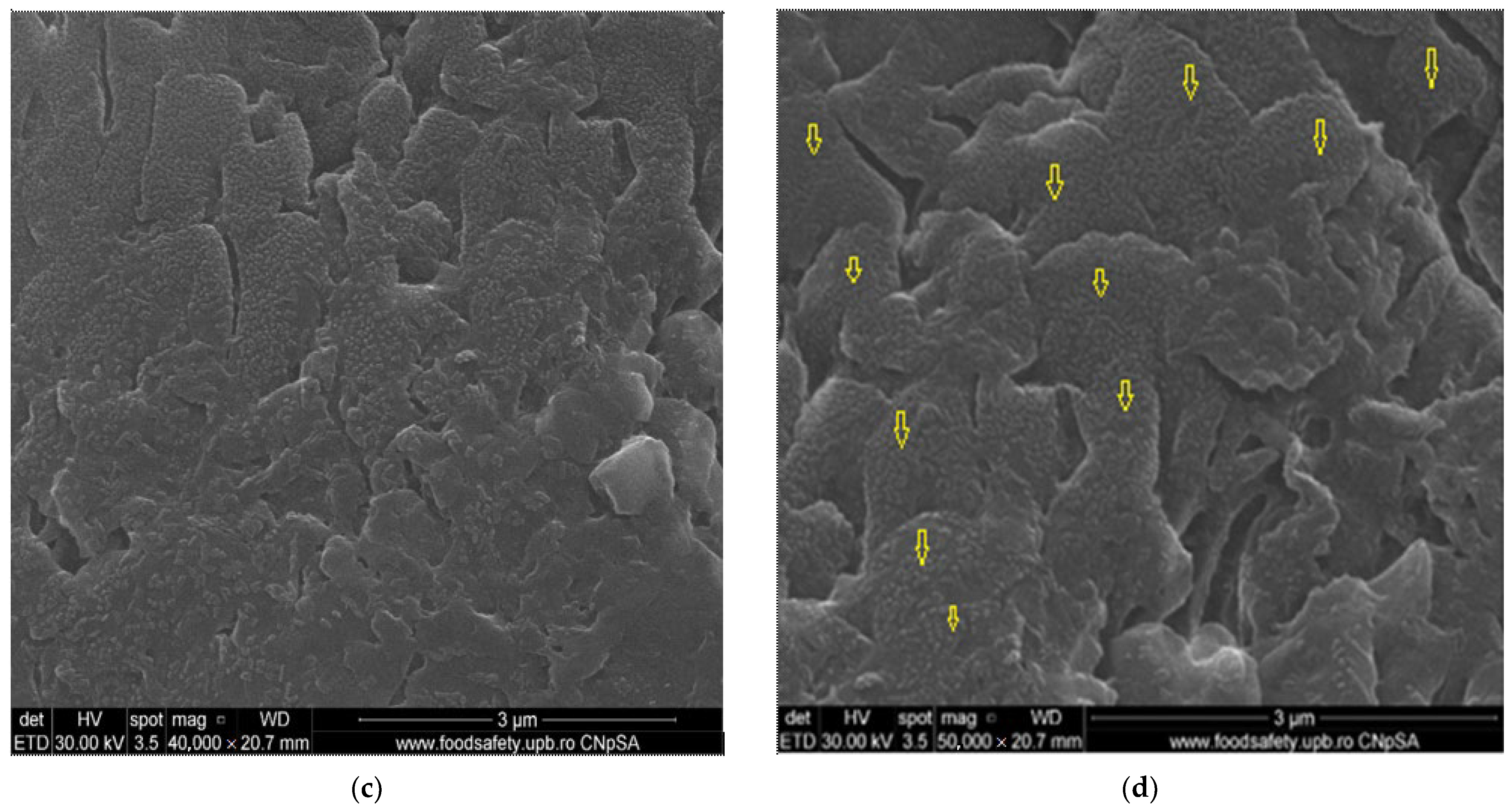 Membranes 13 00350 g005b Membranes 13 00350 g005b