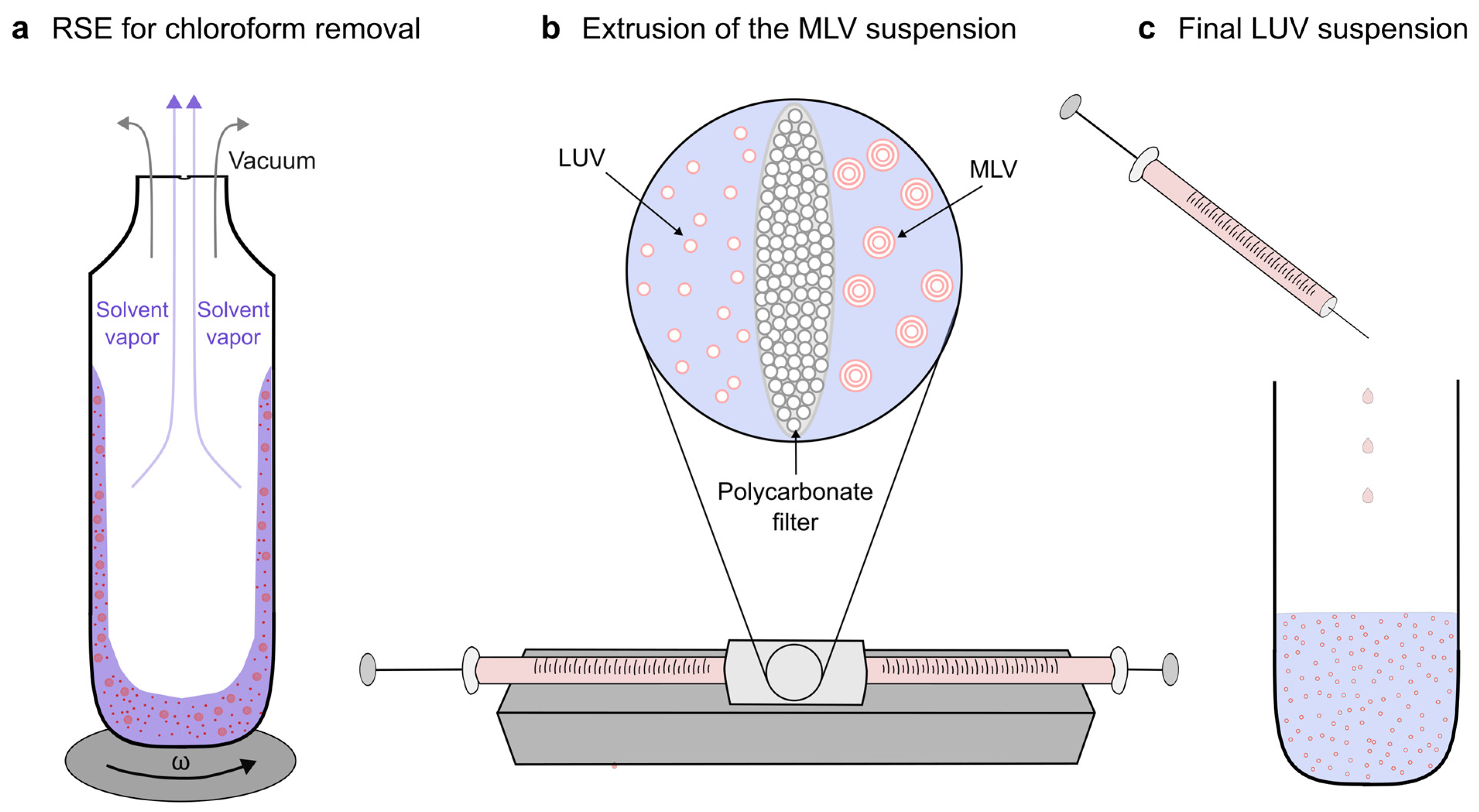 Membranes 13 00352 g001