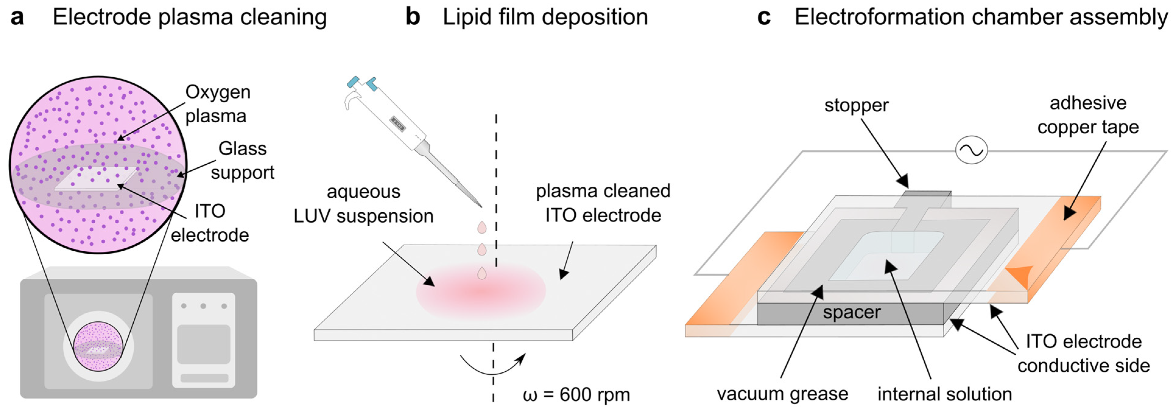 Membranes 13 00352 g002