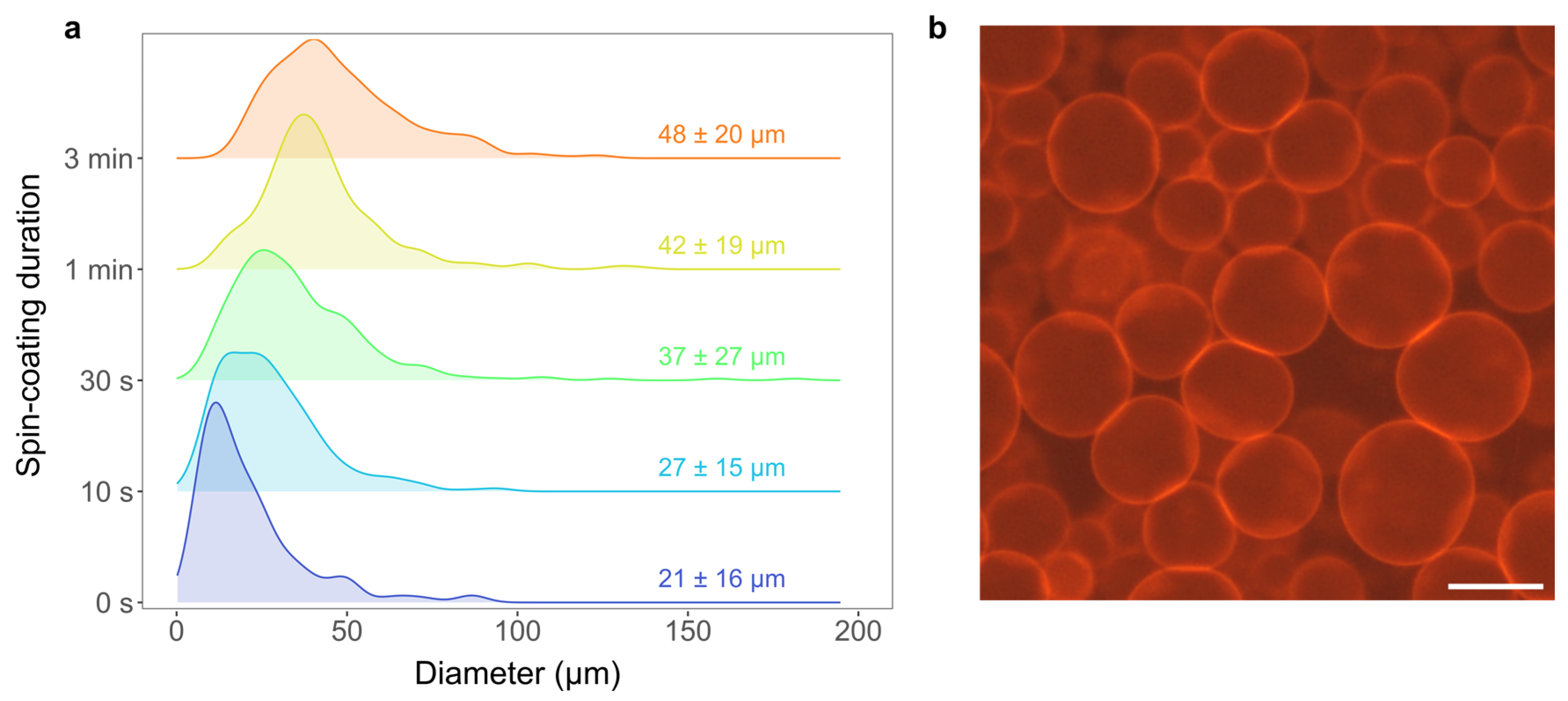 Membranes 13 00352 g005