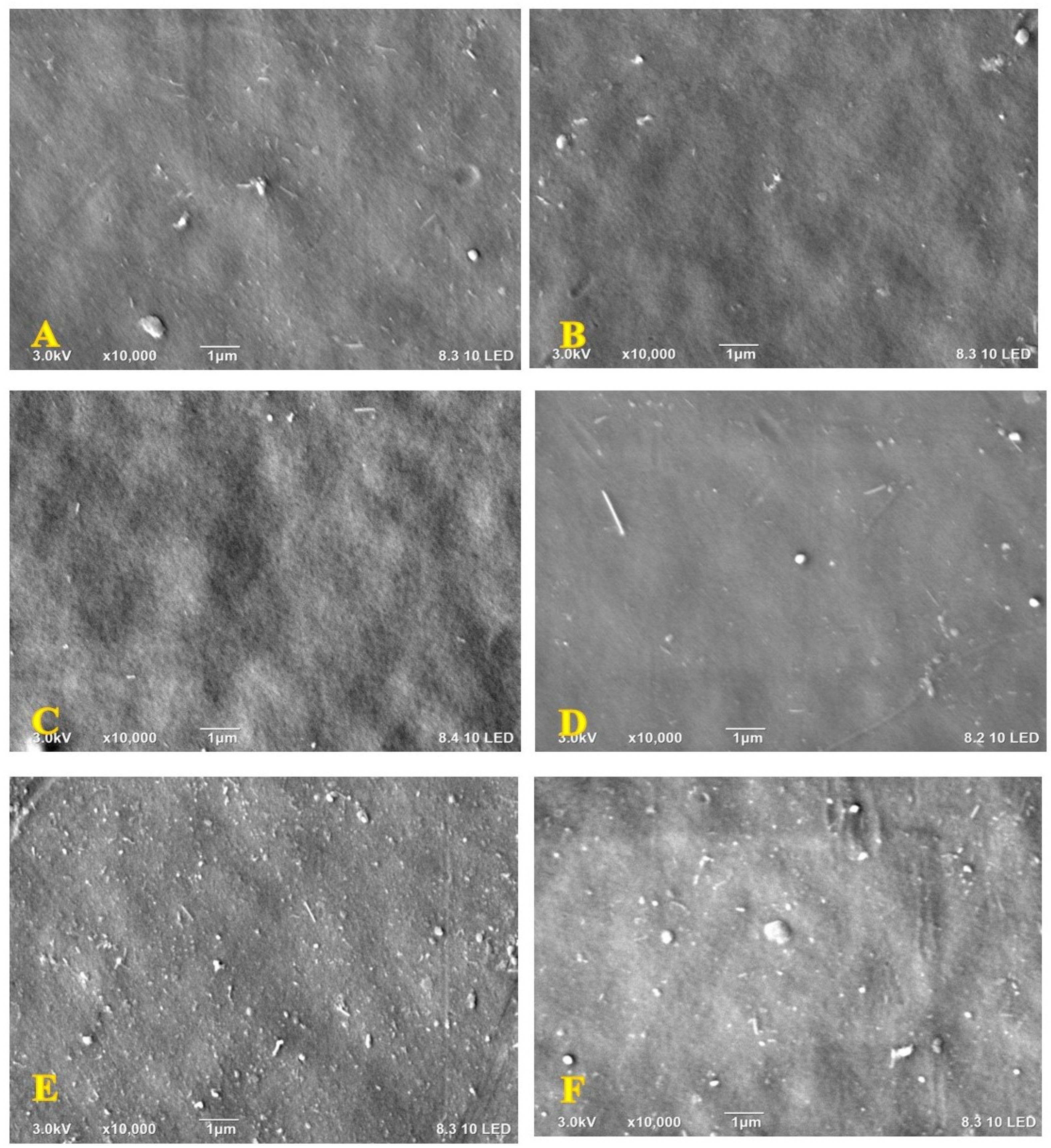 Membranes 13 00357 g001
