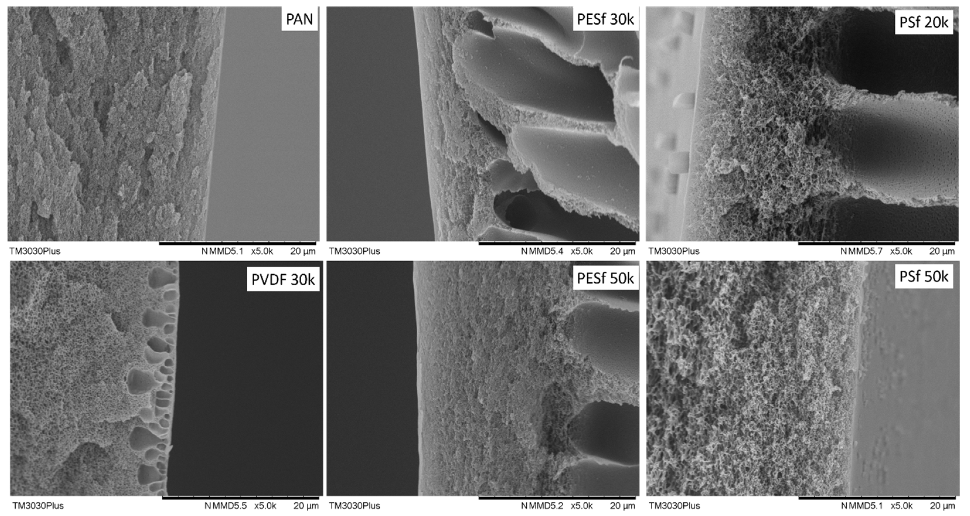 Membranes 13 00359 g001