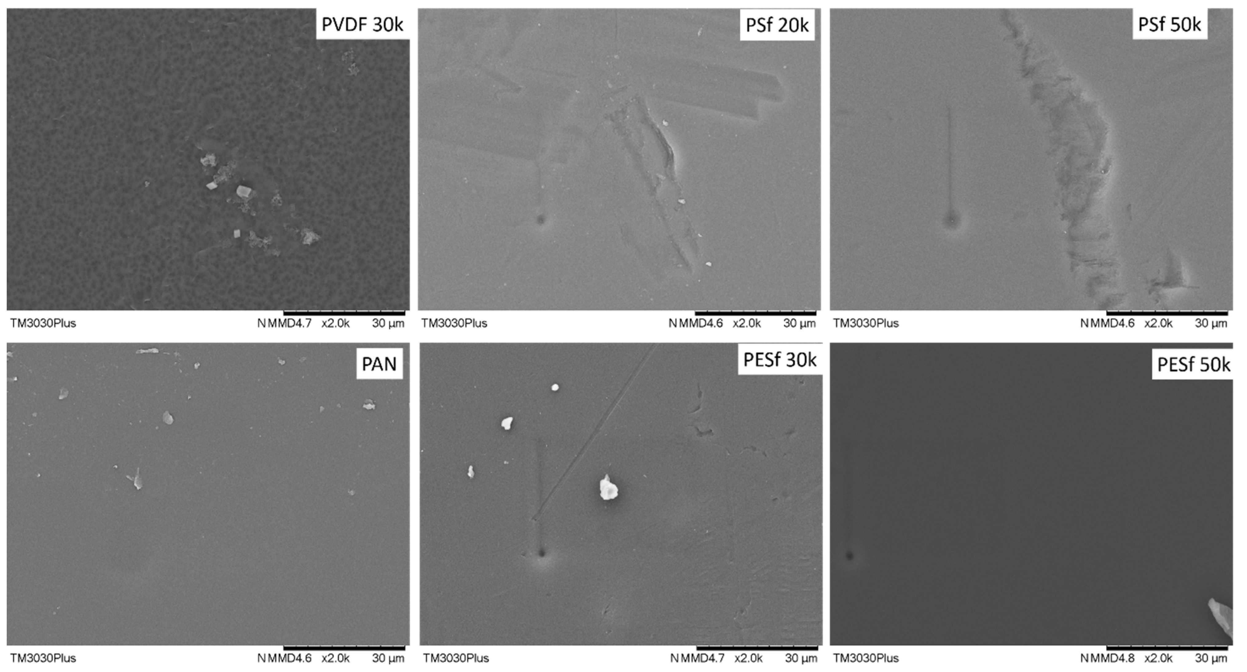 Membranes 13 00359 g002