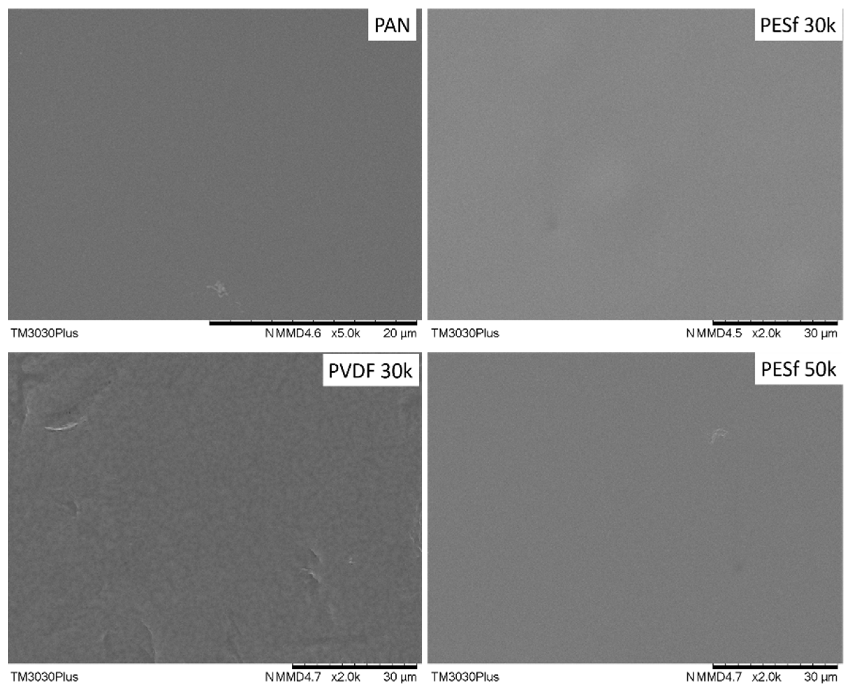 Membranes 13 00359 g003