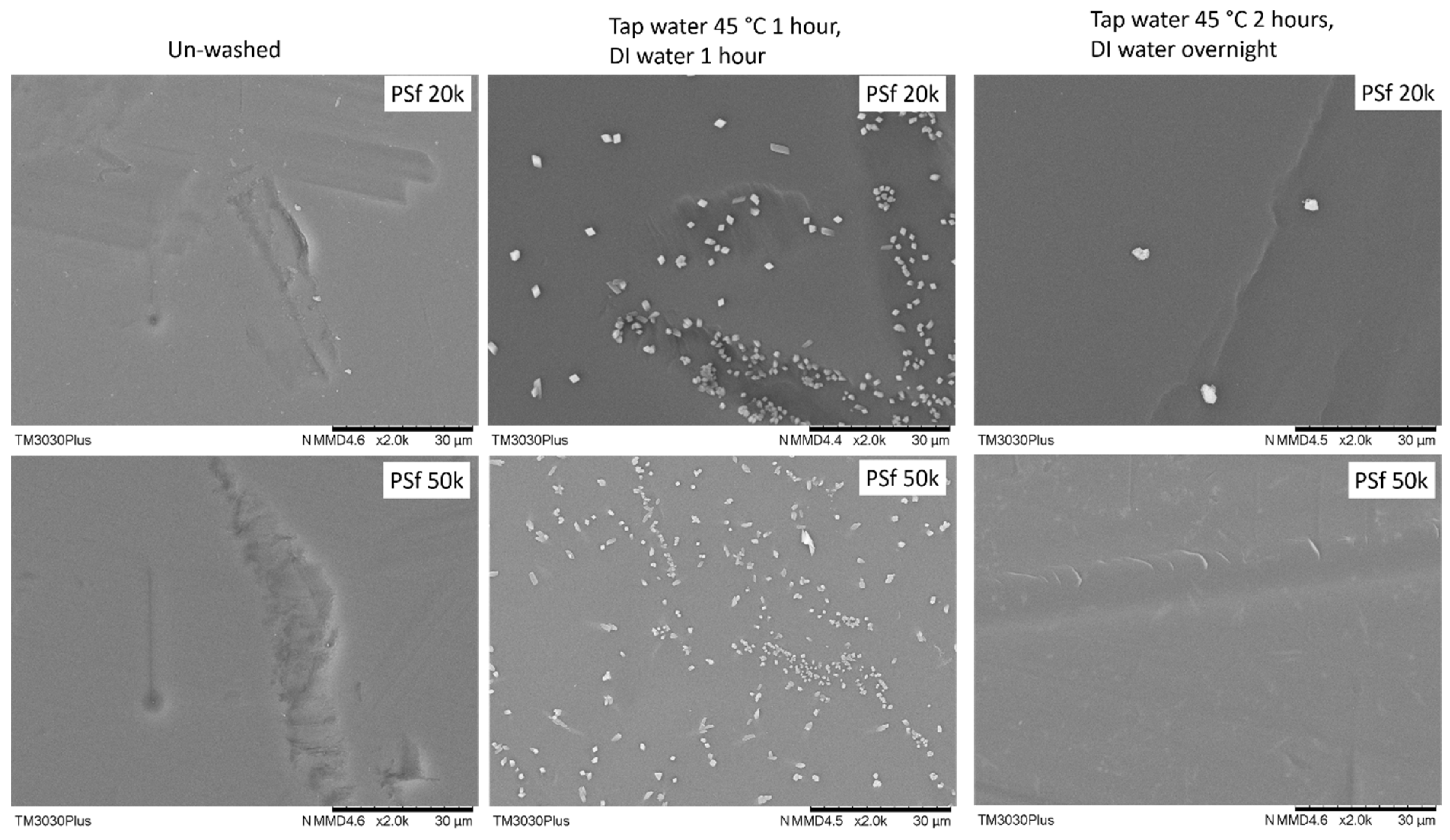 Membranes 13 00359 g004