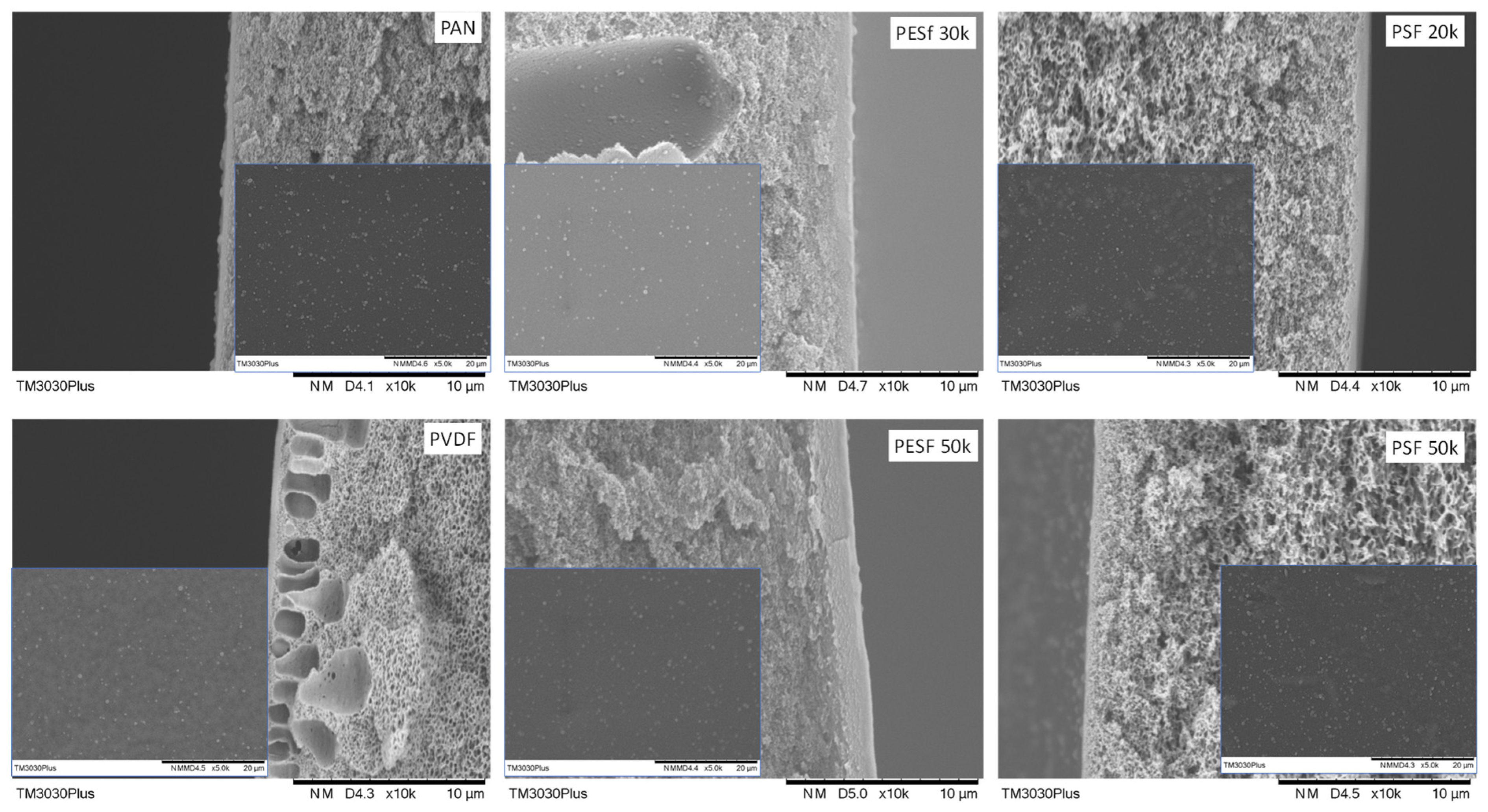 Membranes 13 00359 g009