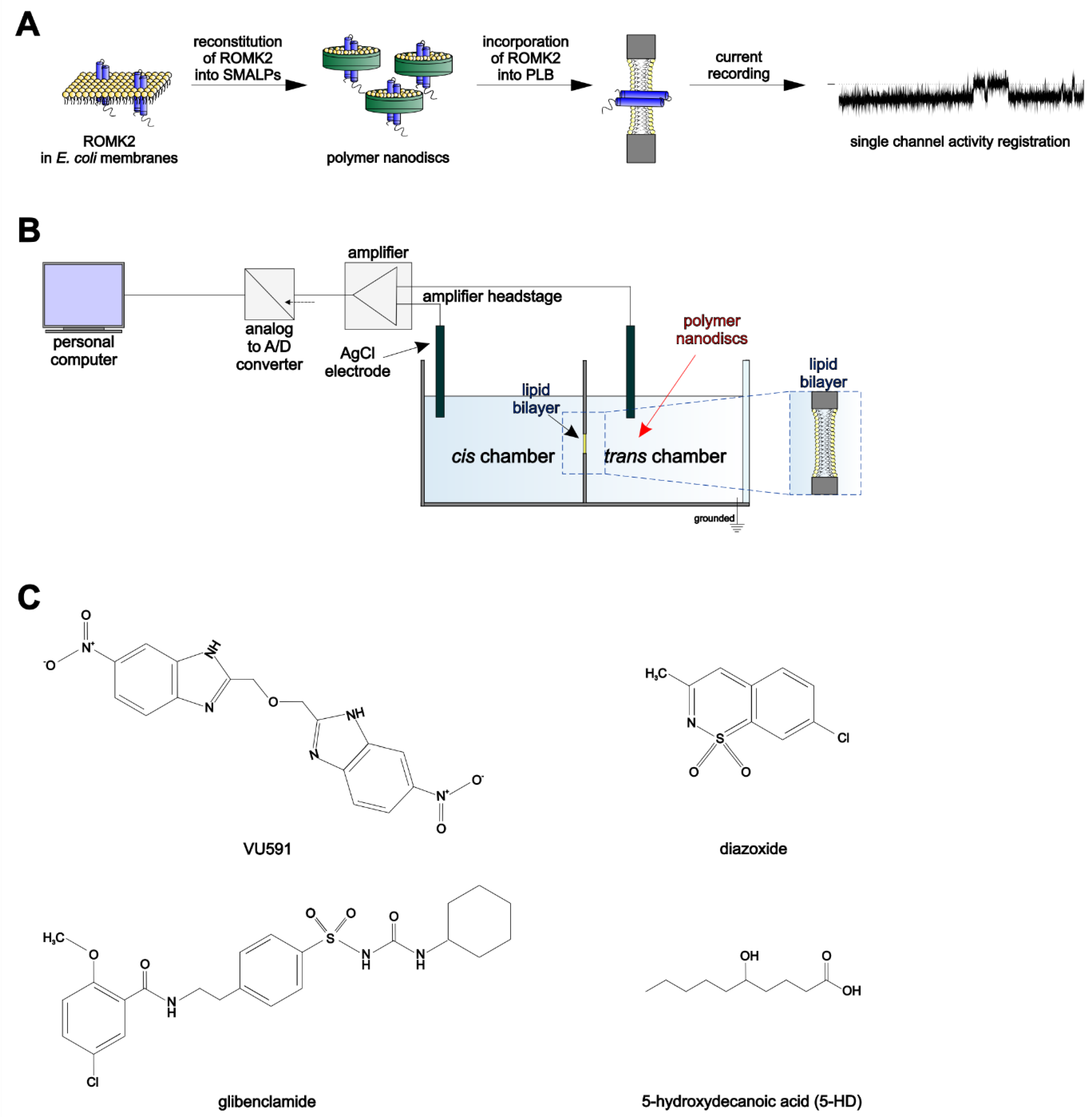 Membranes 13 00360 g001