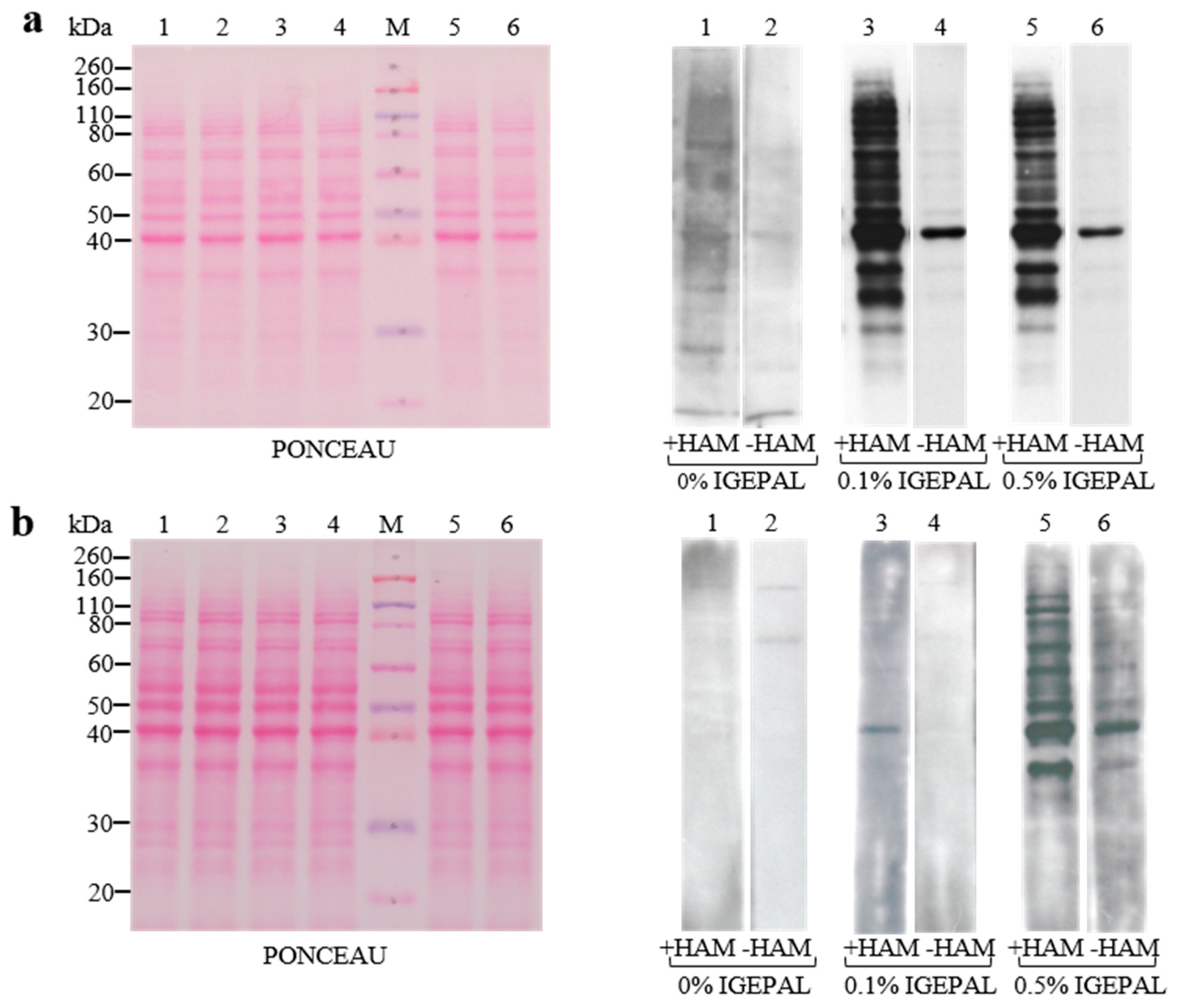 Membranes 13 00361 g002