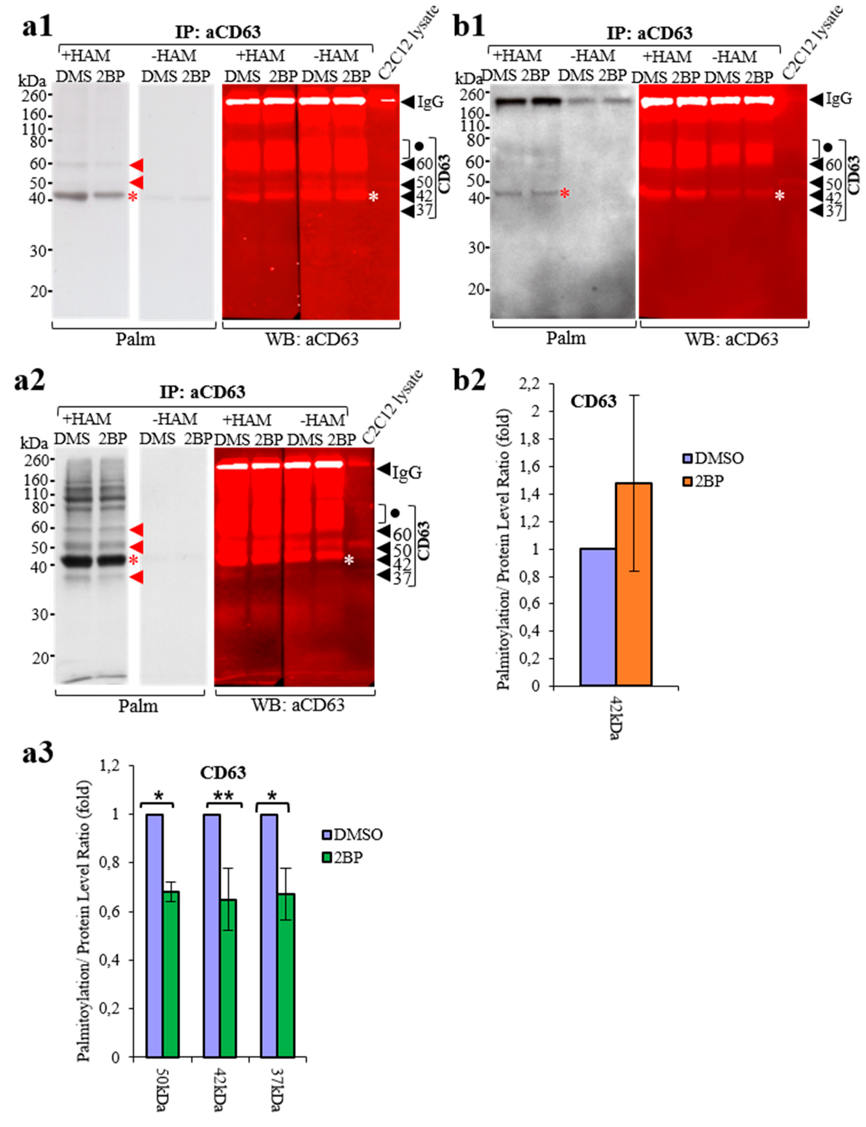 Membranes 13 00361 g004
