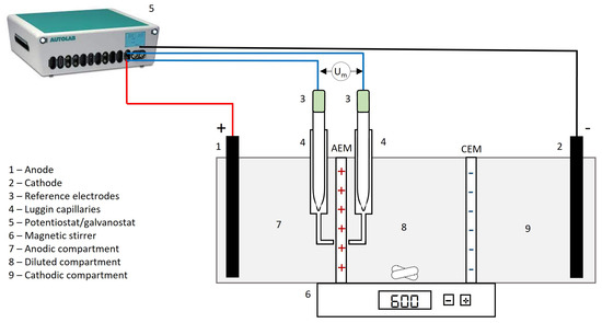 Membranes 13 00363 g0a1