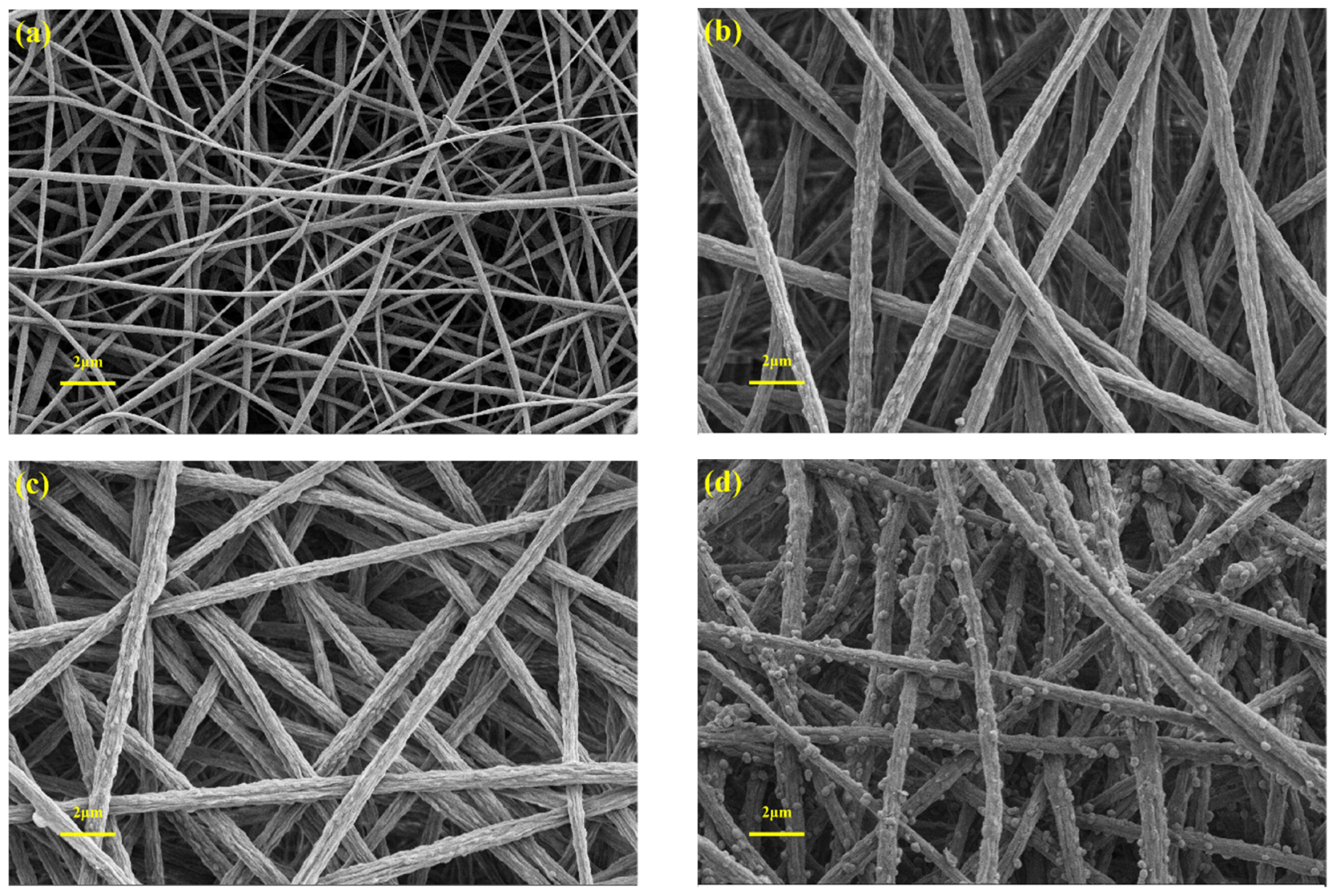 Membranes 13 00364 g006