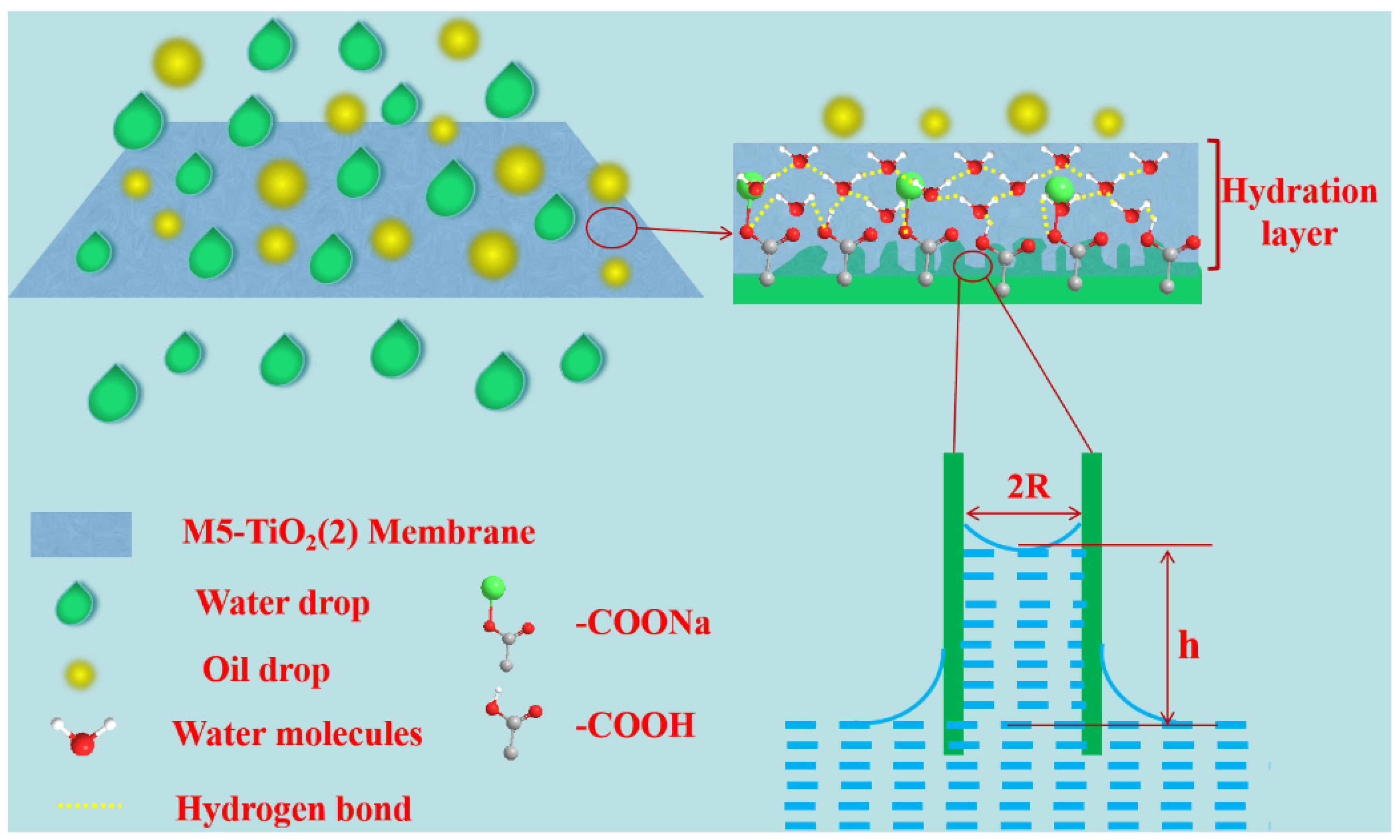 Membranes 13 00364 g012