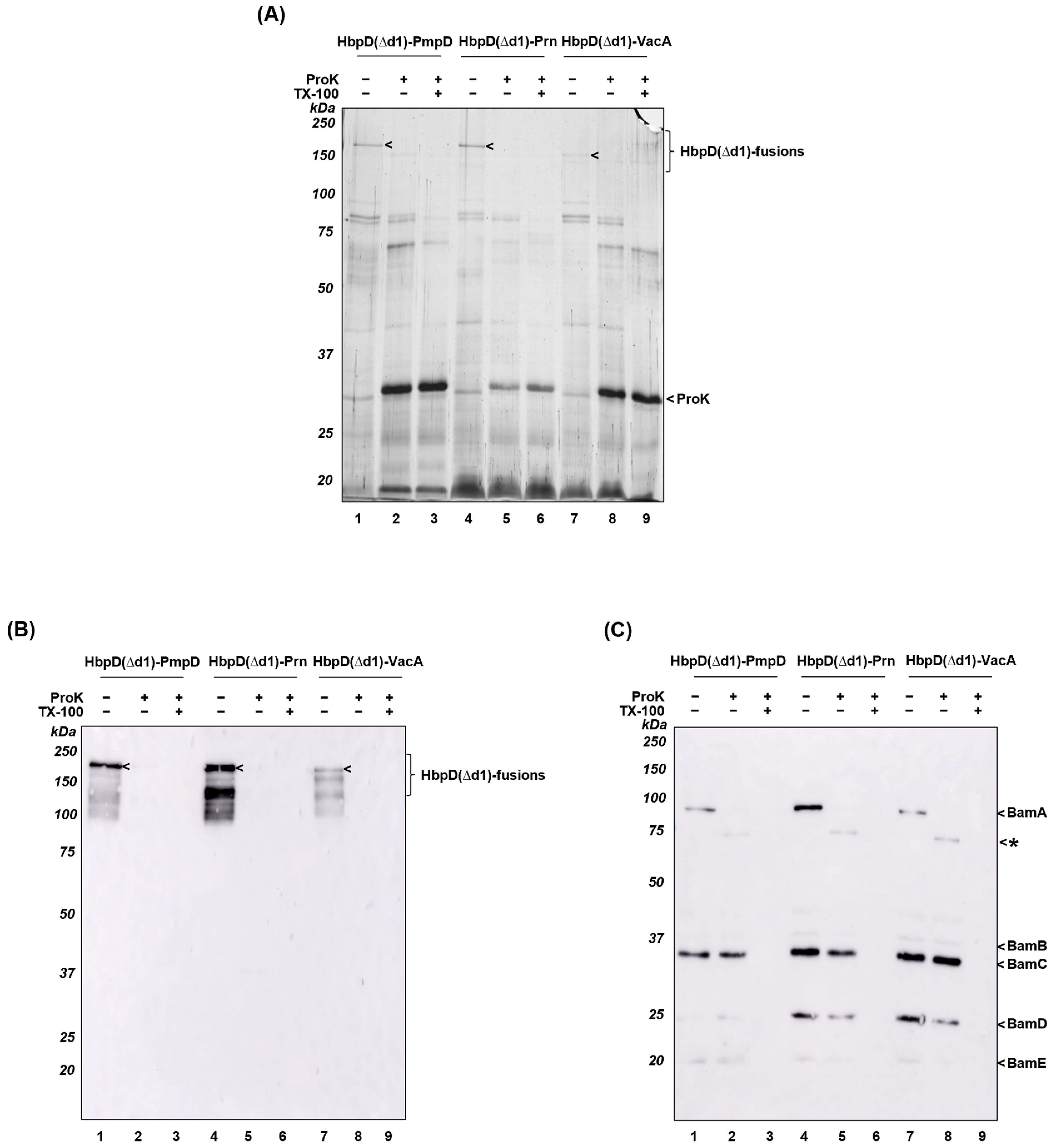 Membranes 13 00366 g003