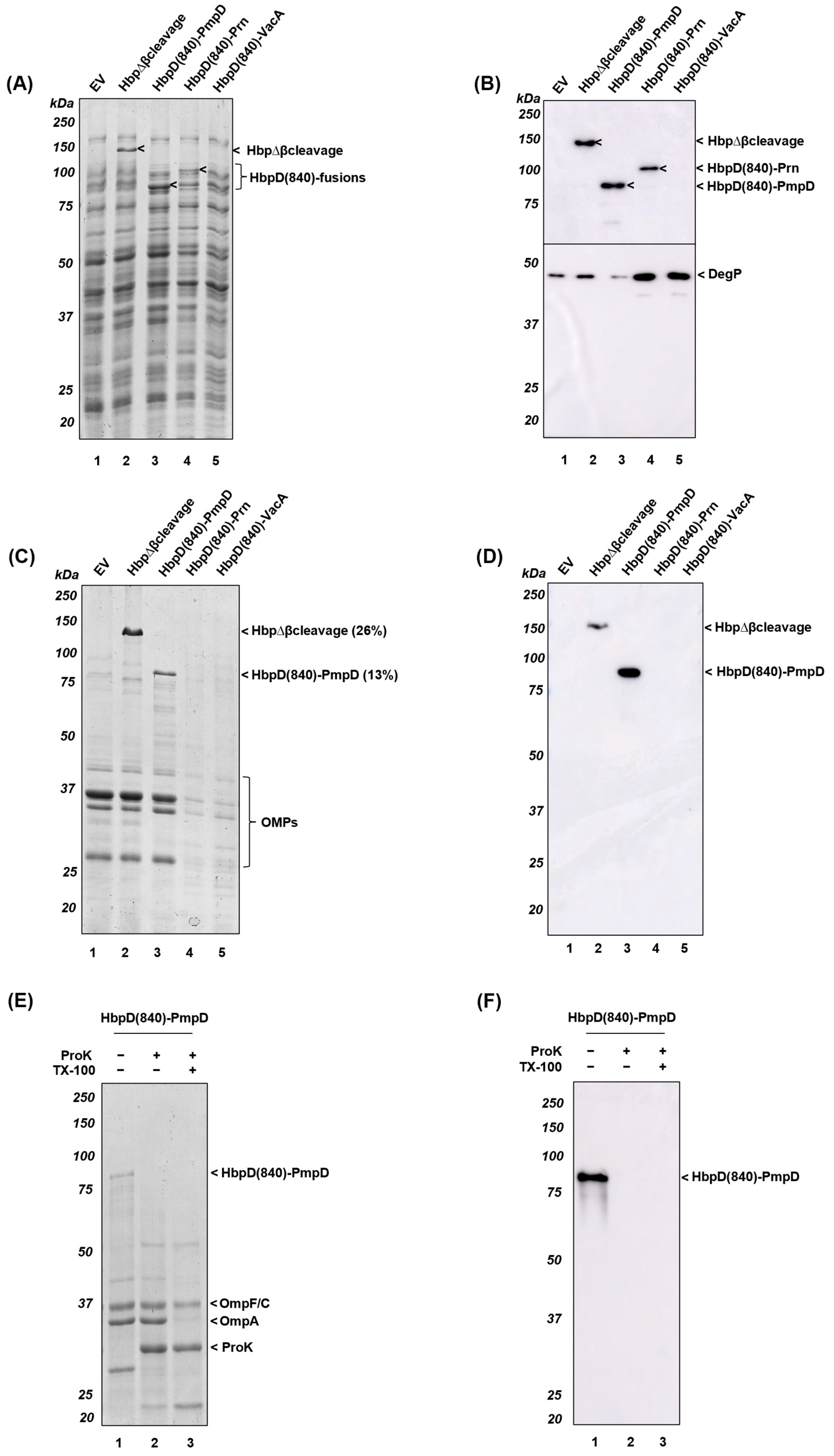 Membranes 13 00366 g005