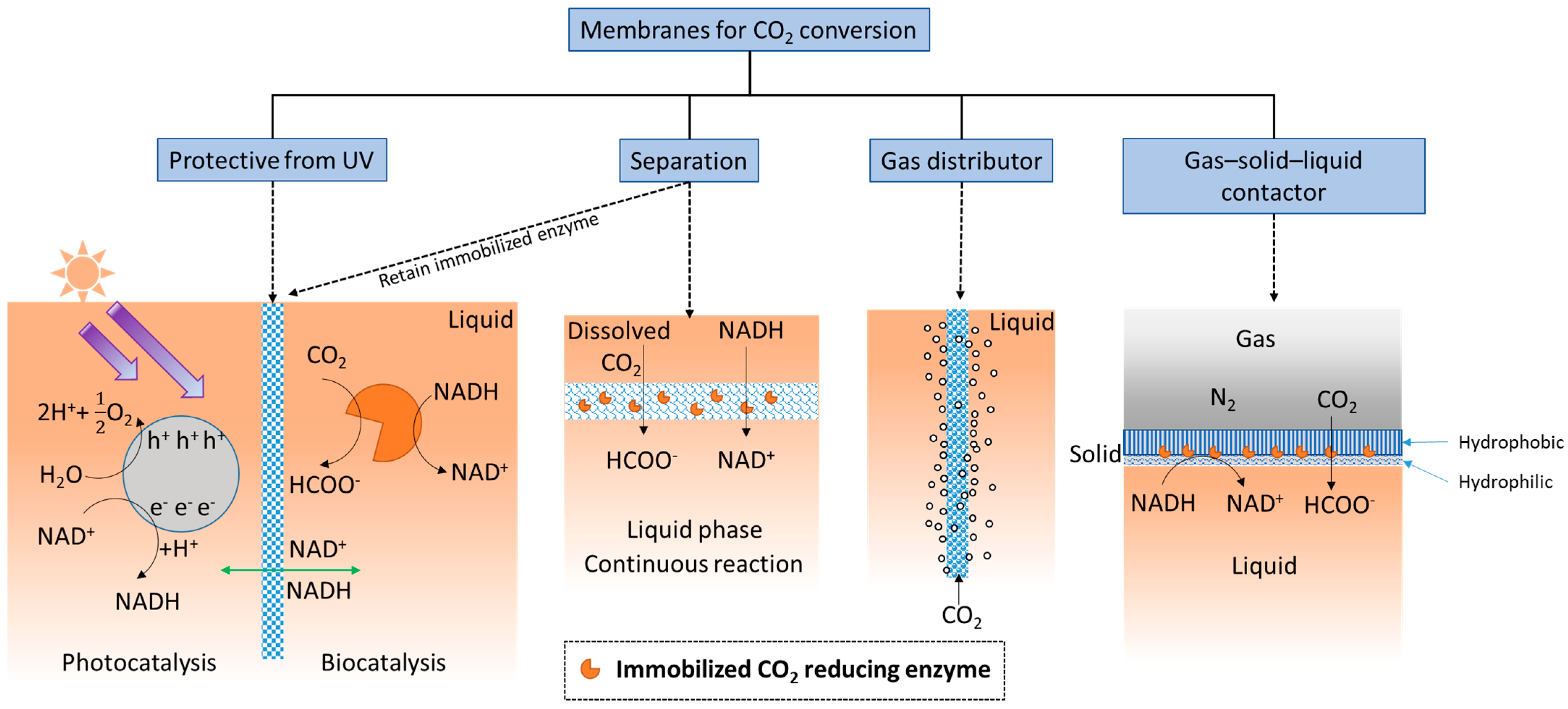 Membranes 13 00367 g002
