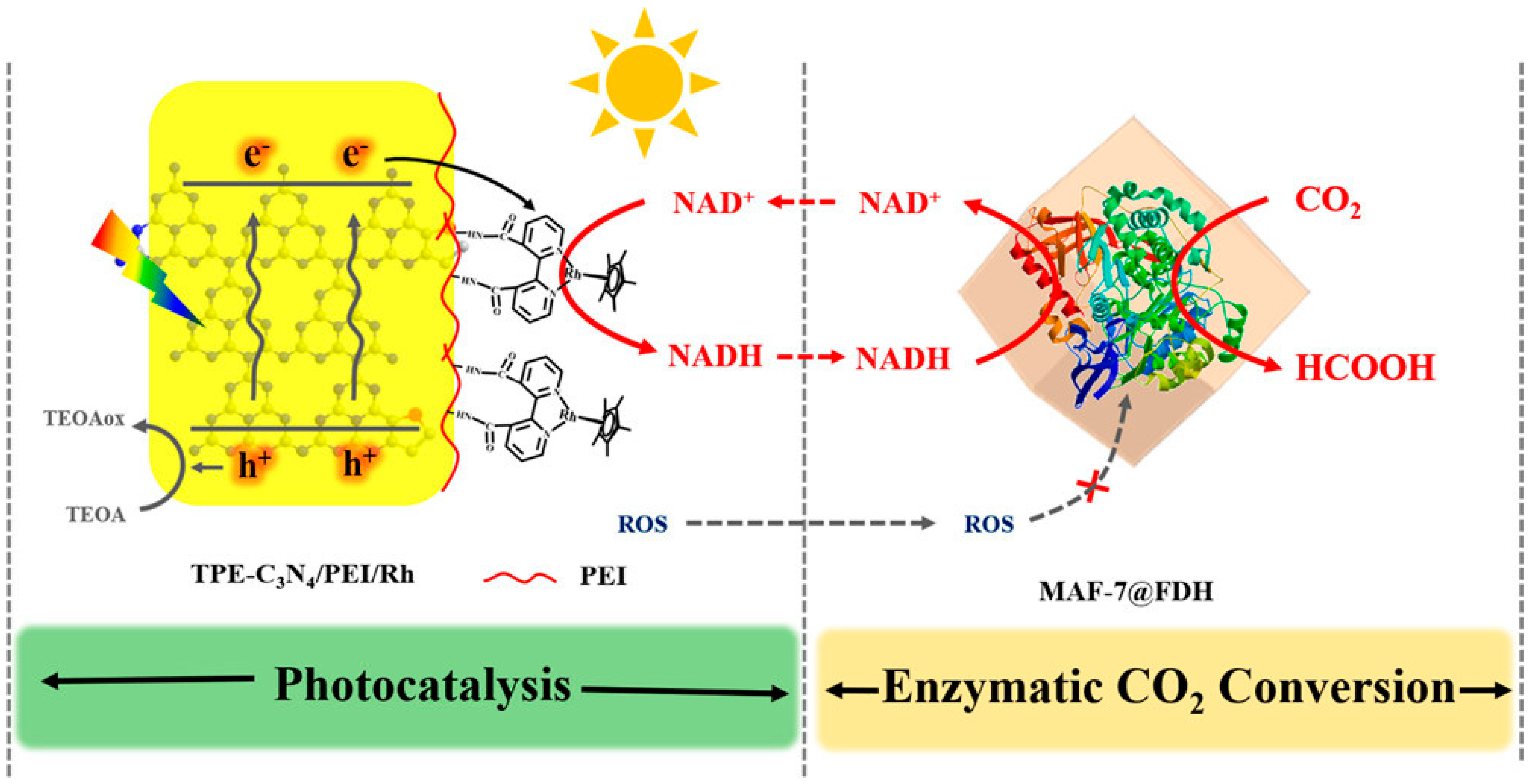 Membranes 13 00367 g004