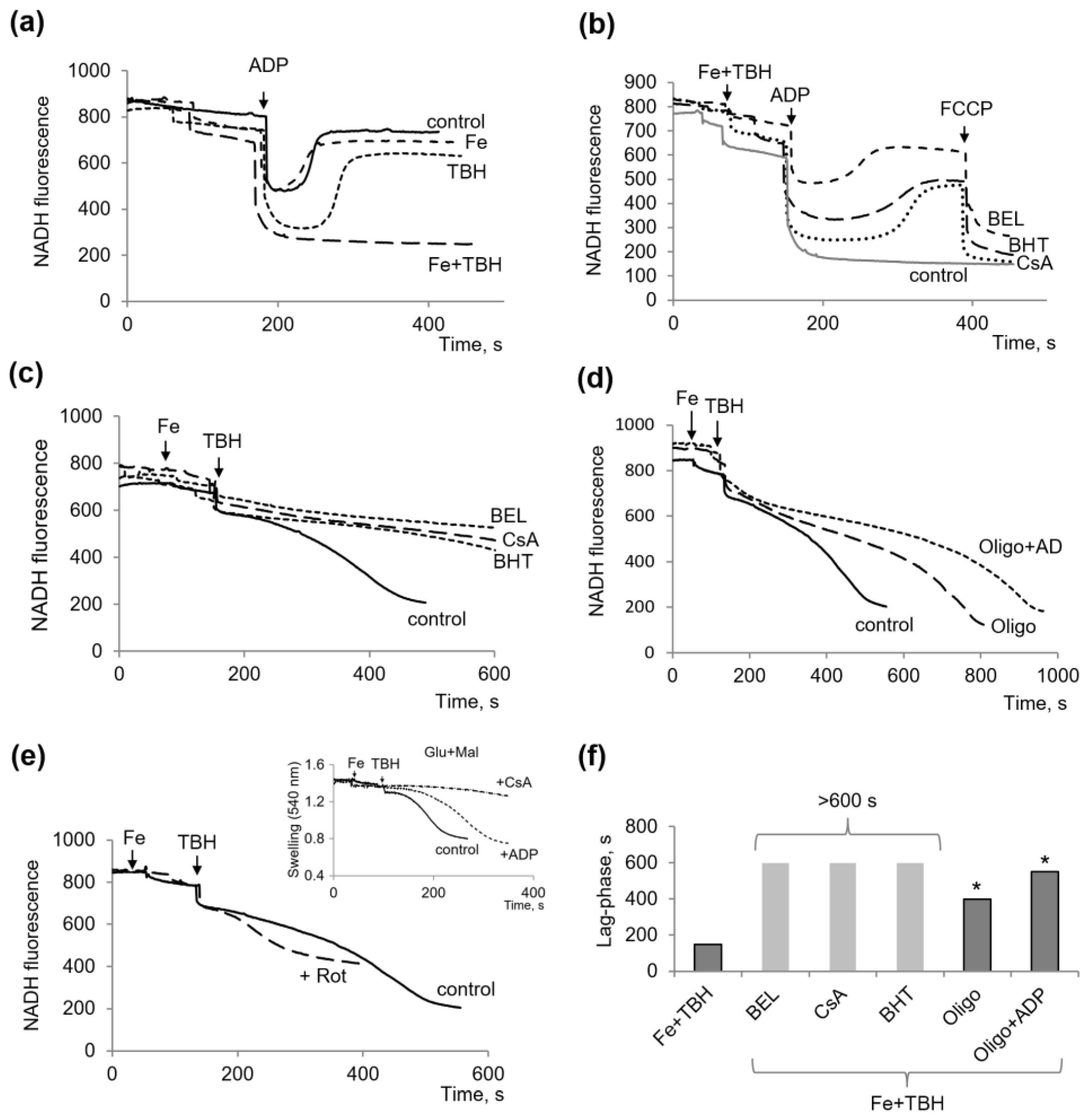 Membranes 13 00372 g003