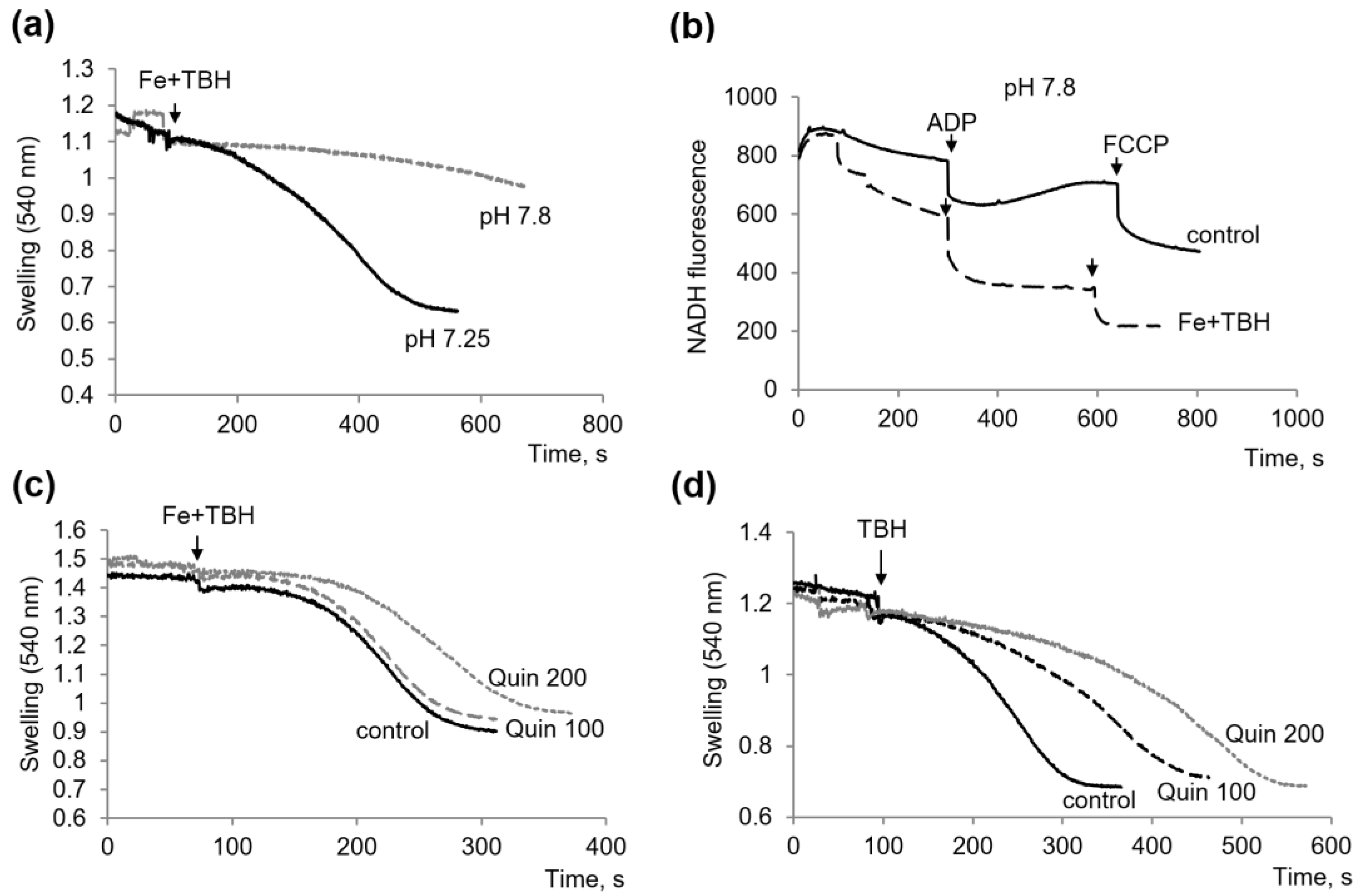 Membranes 13 00372 g004