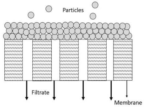 Membranes 13 00373 i002 Membranes 13 00373 i002