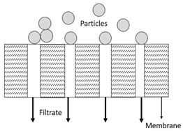 Membranes 13 00373 i004 Membranes 13 00373 i004