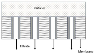 Membranes 13 00373 i006 Membranes 13 00373 i006