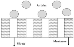 Membranes 13 00373 i008 Membranes 13 00373 i008