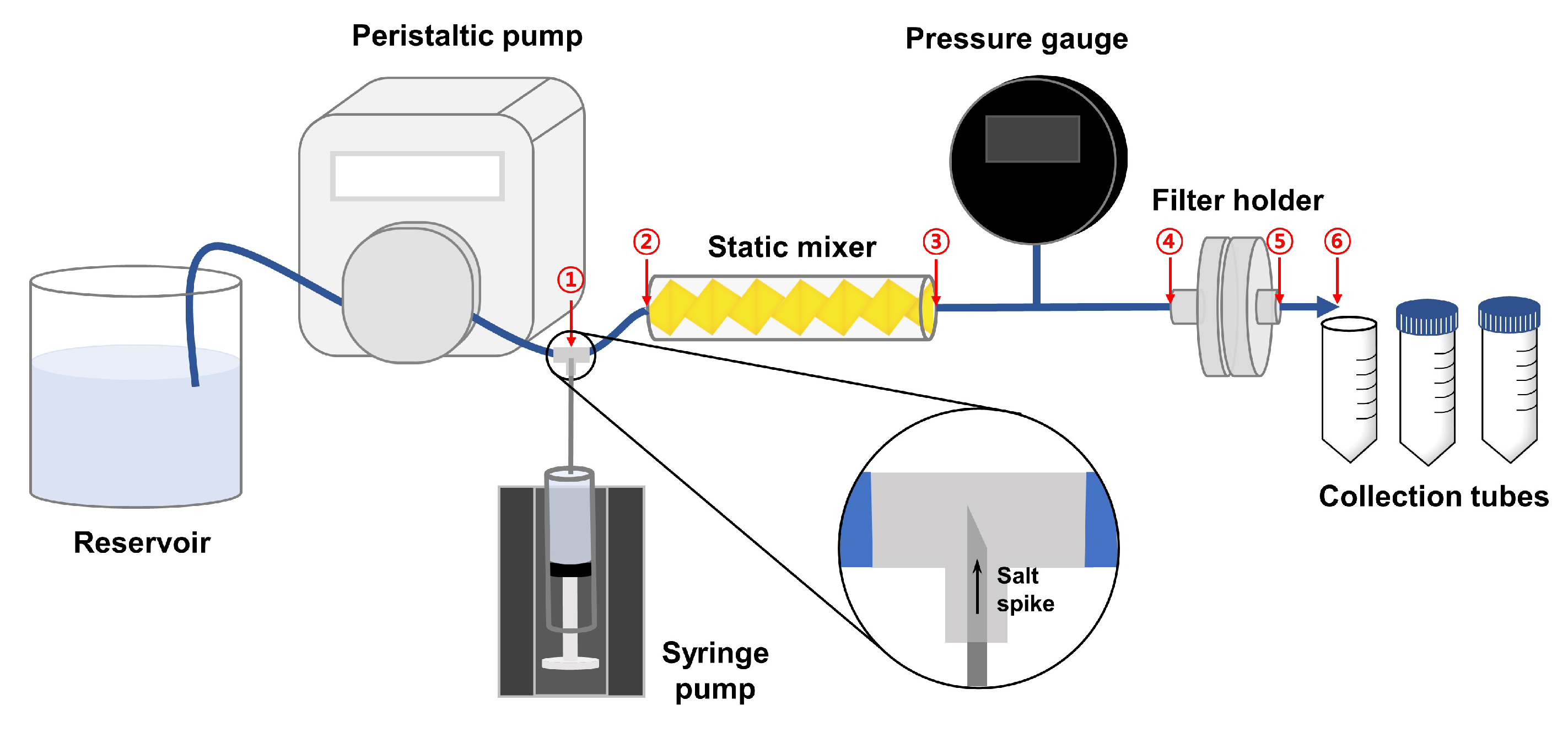 Membranes 13 00375 g001