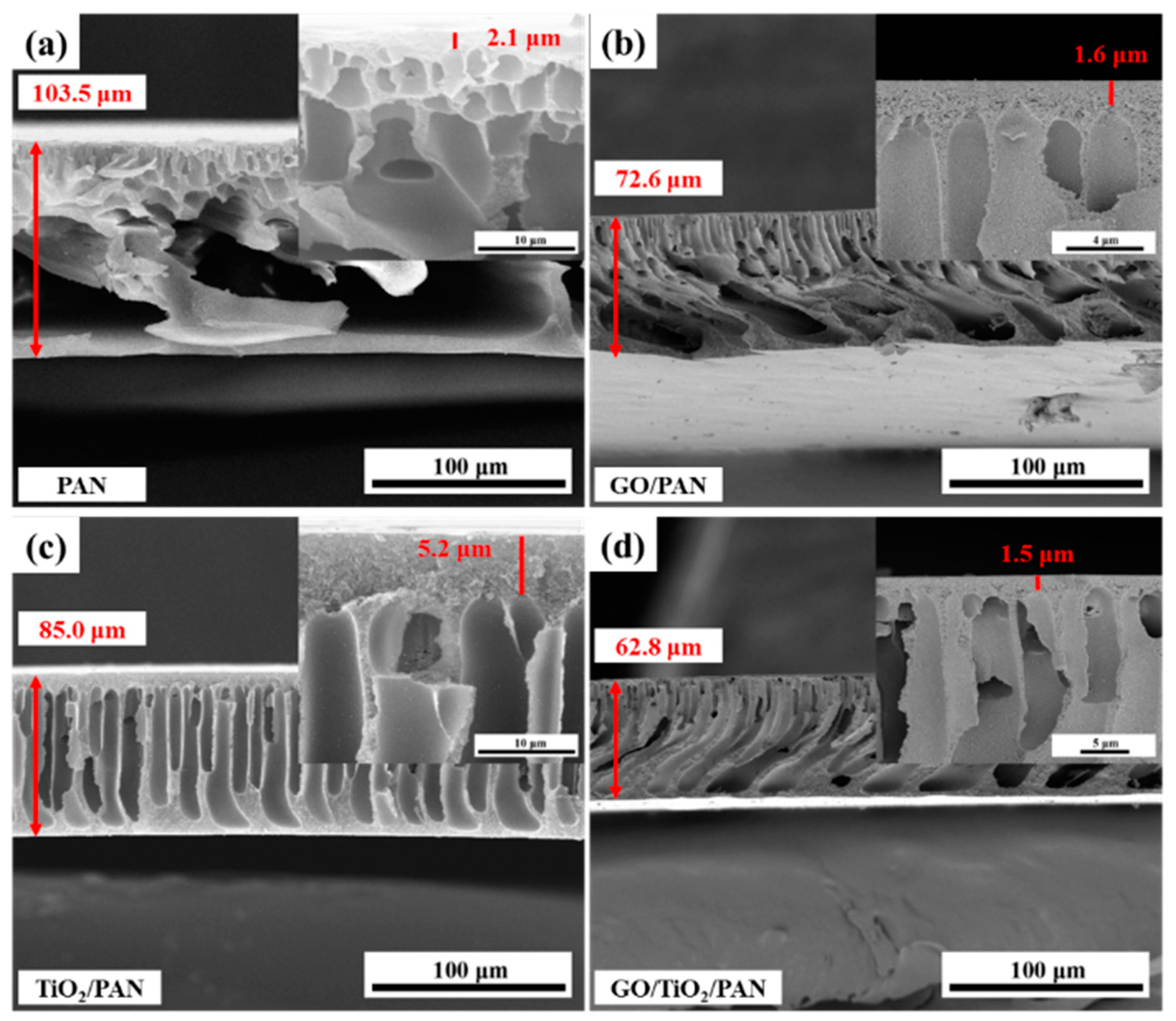 Membranes 13 00377 g001