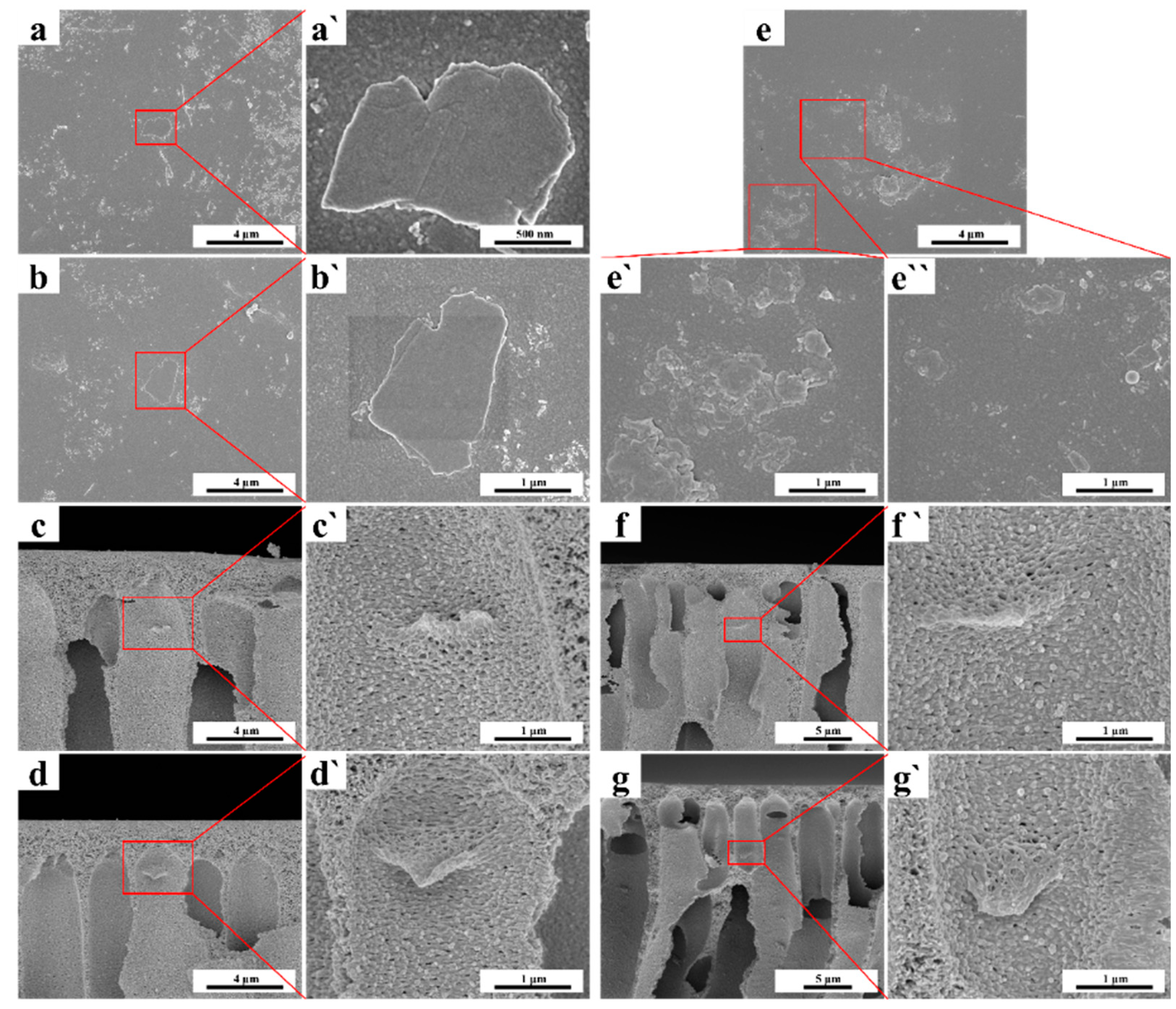 Membranes 13 00377 g006