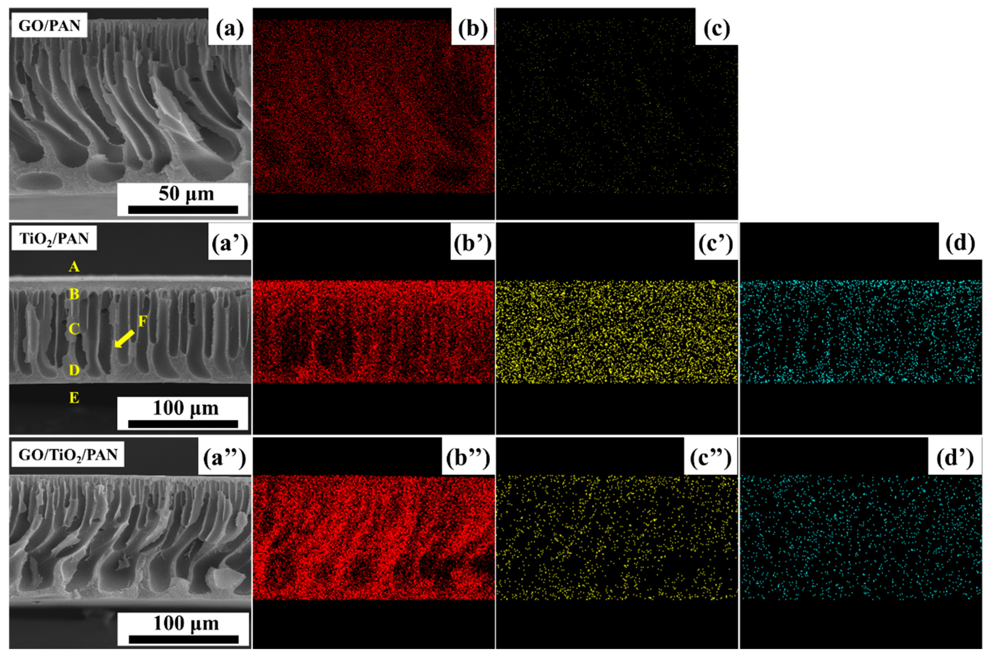 Membranes 13 00377 g007