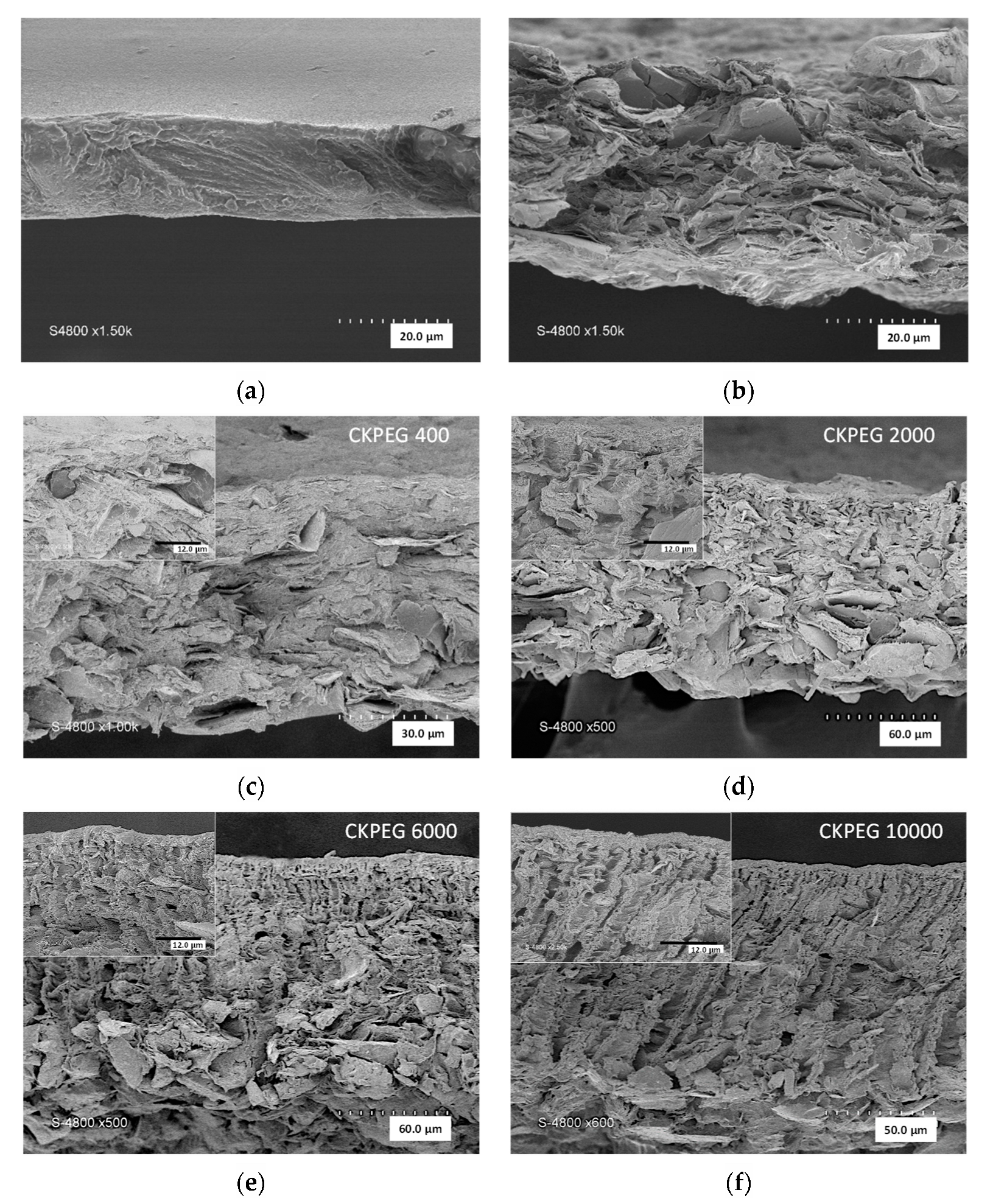 Membranes 13 00378 g003