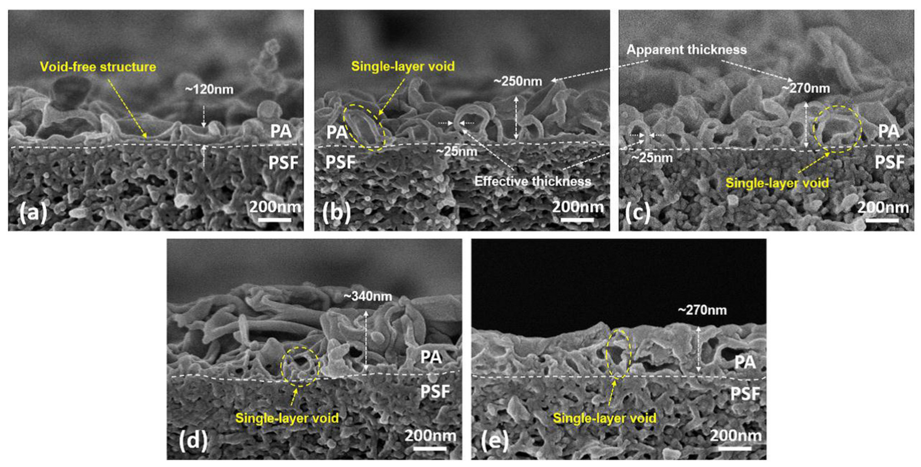 Membranes 13 00379 g005