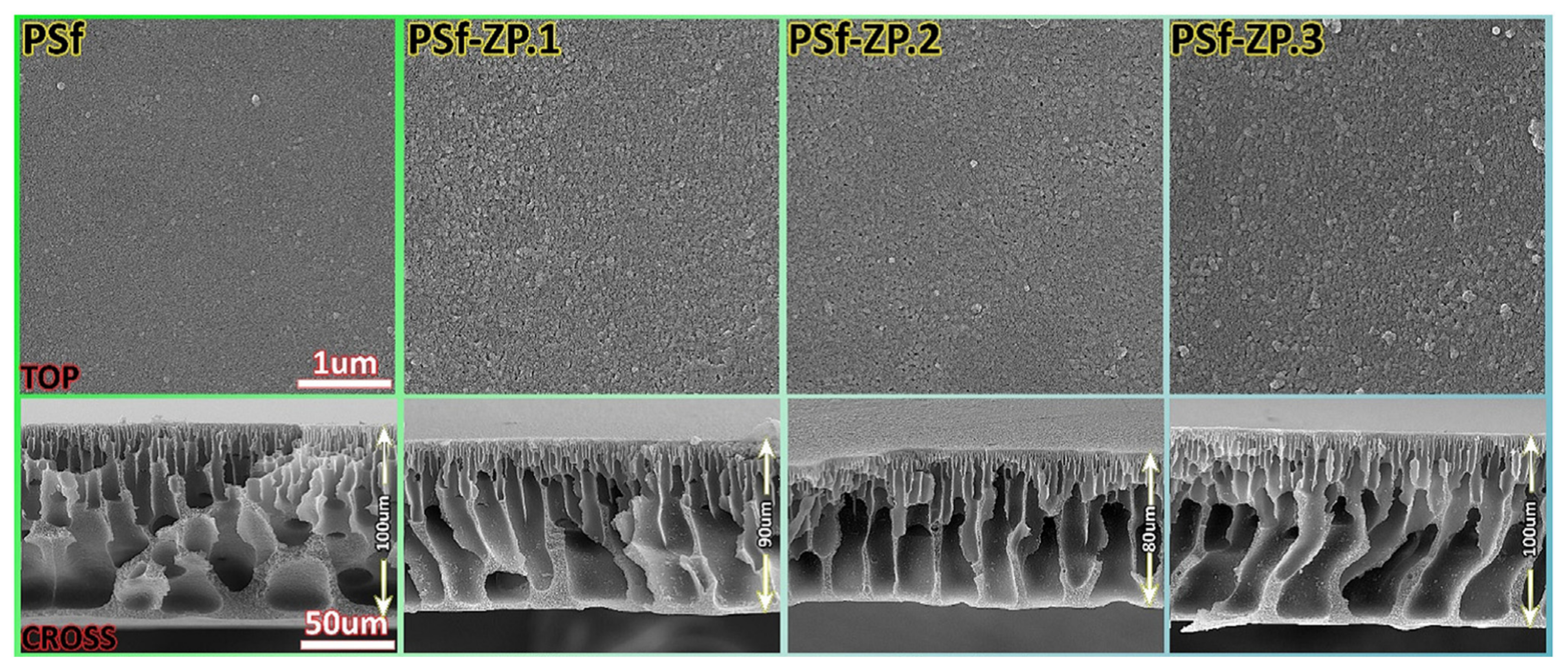 Membranes 13 00379 g007