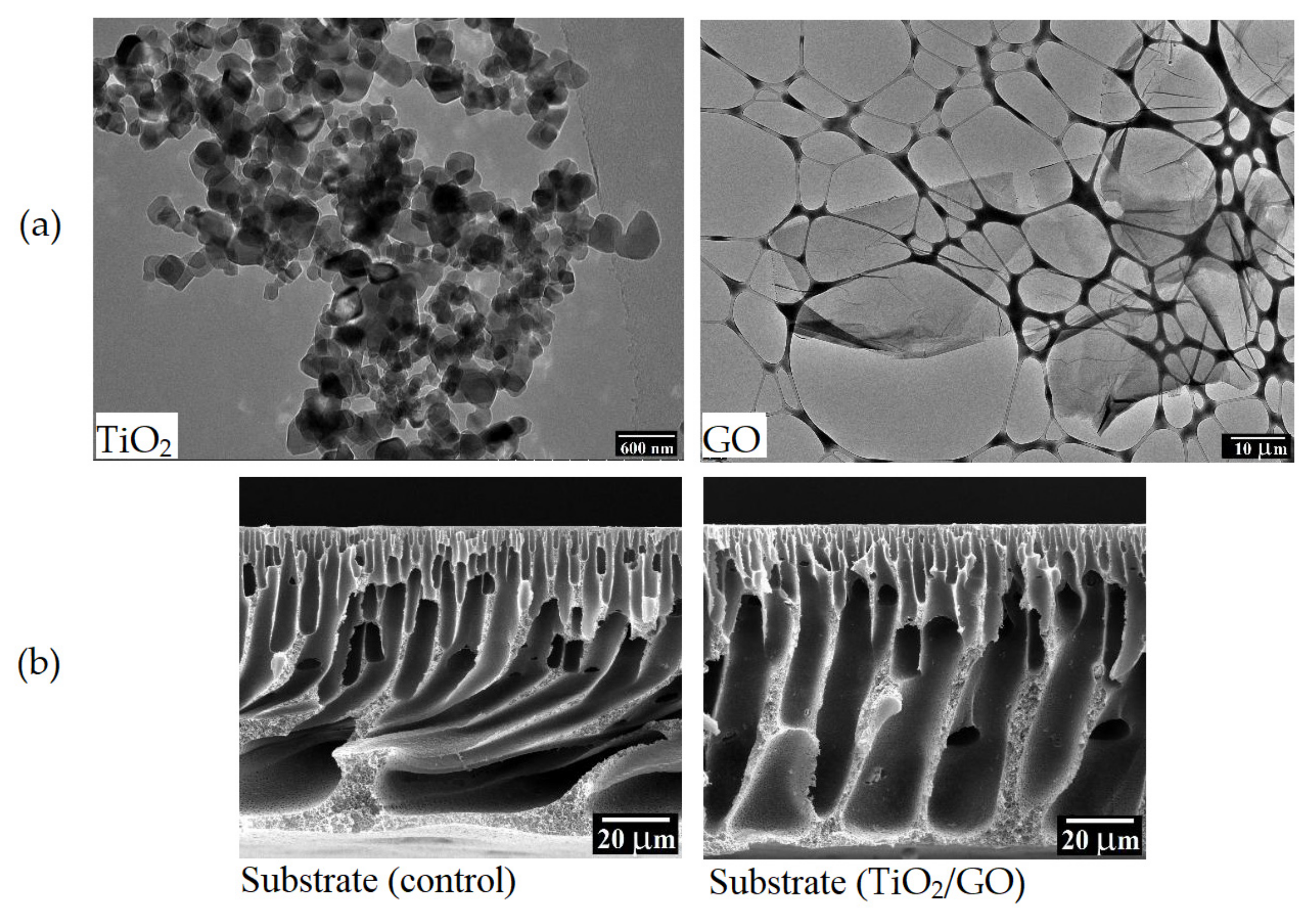 Membranes 13 00379 g009
