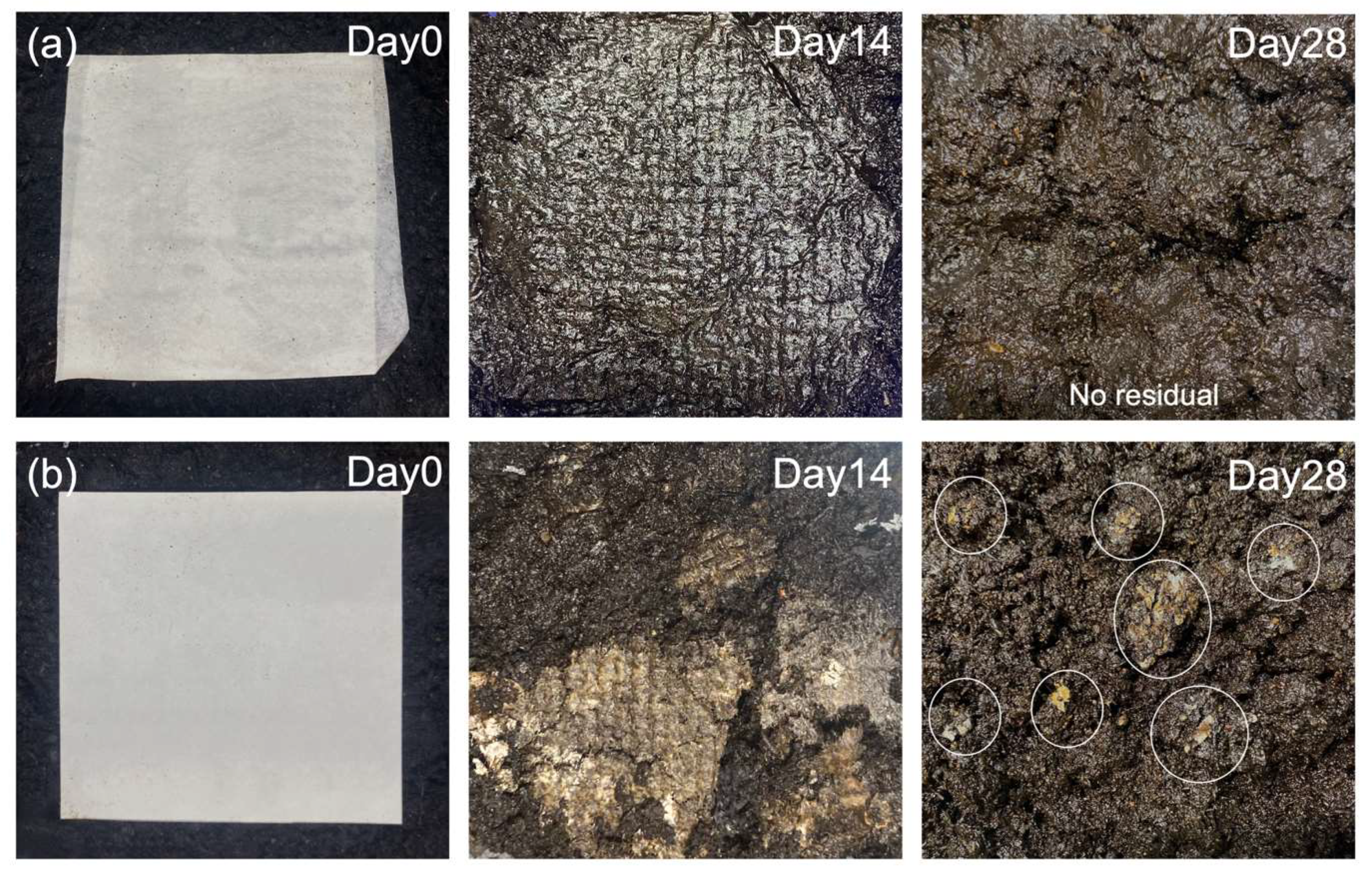 Membranes 13 00380 g007