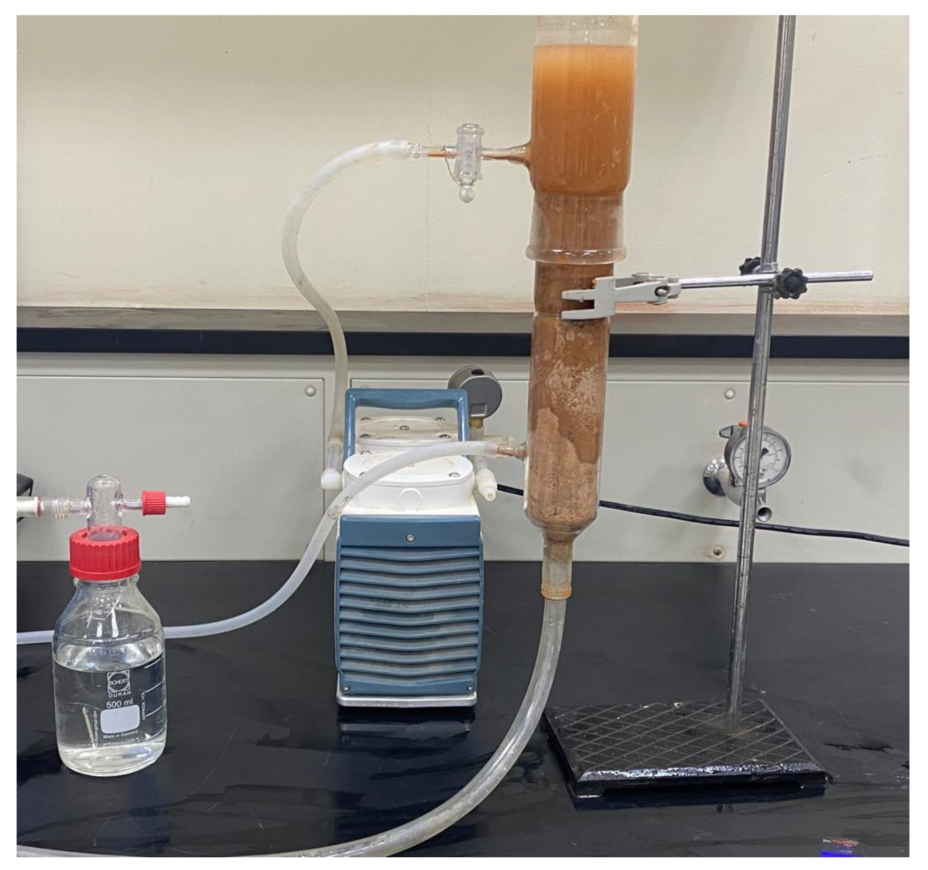 Membranes 13 00381 g003