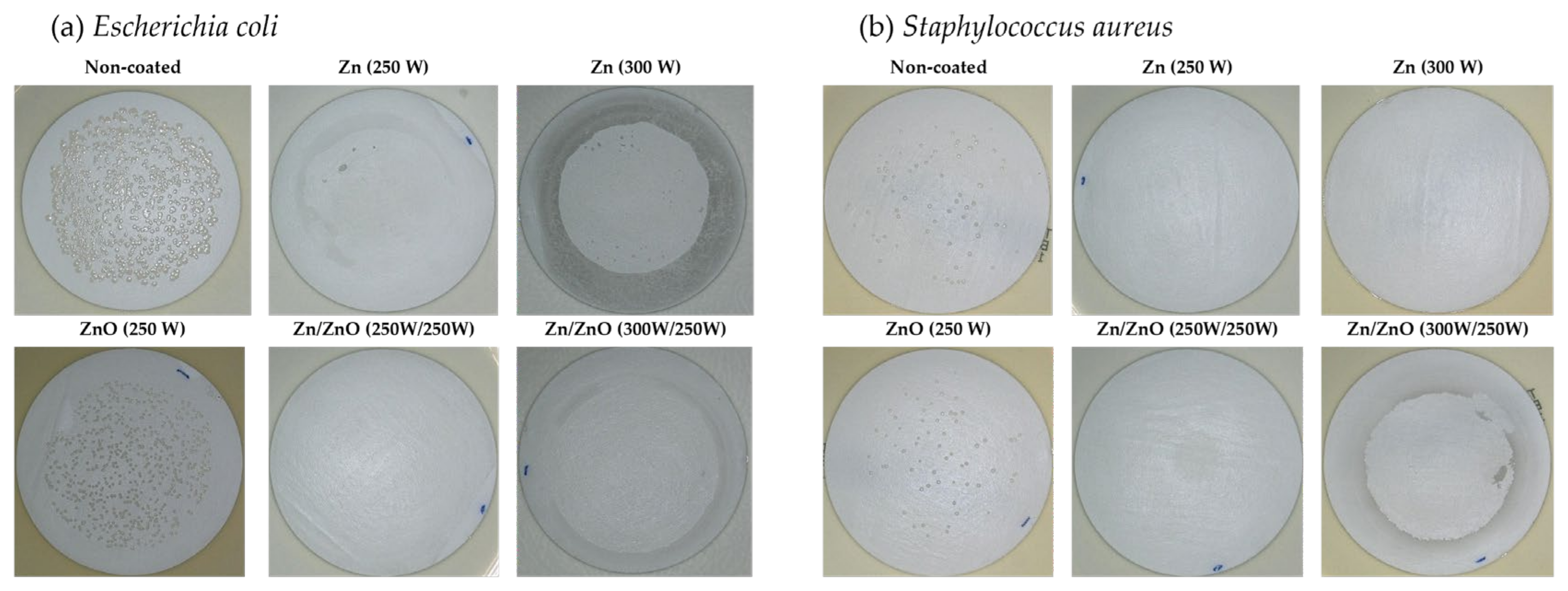 Membranes 13 00387 g004