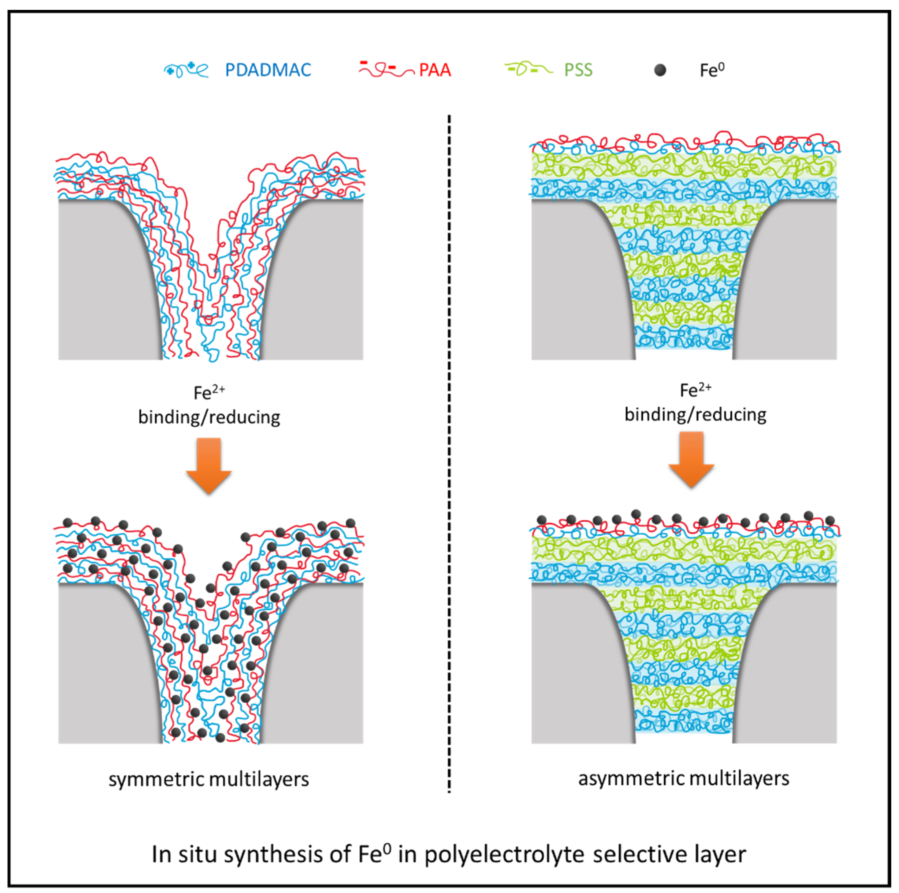 Membranes 13 00388 g005