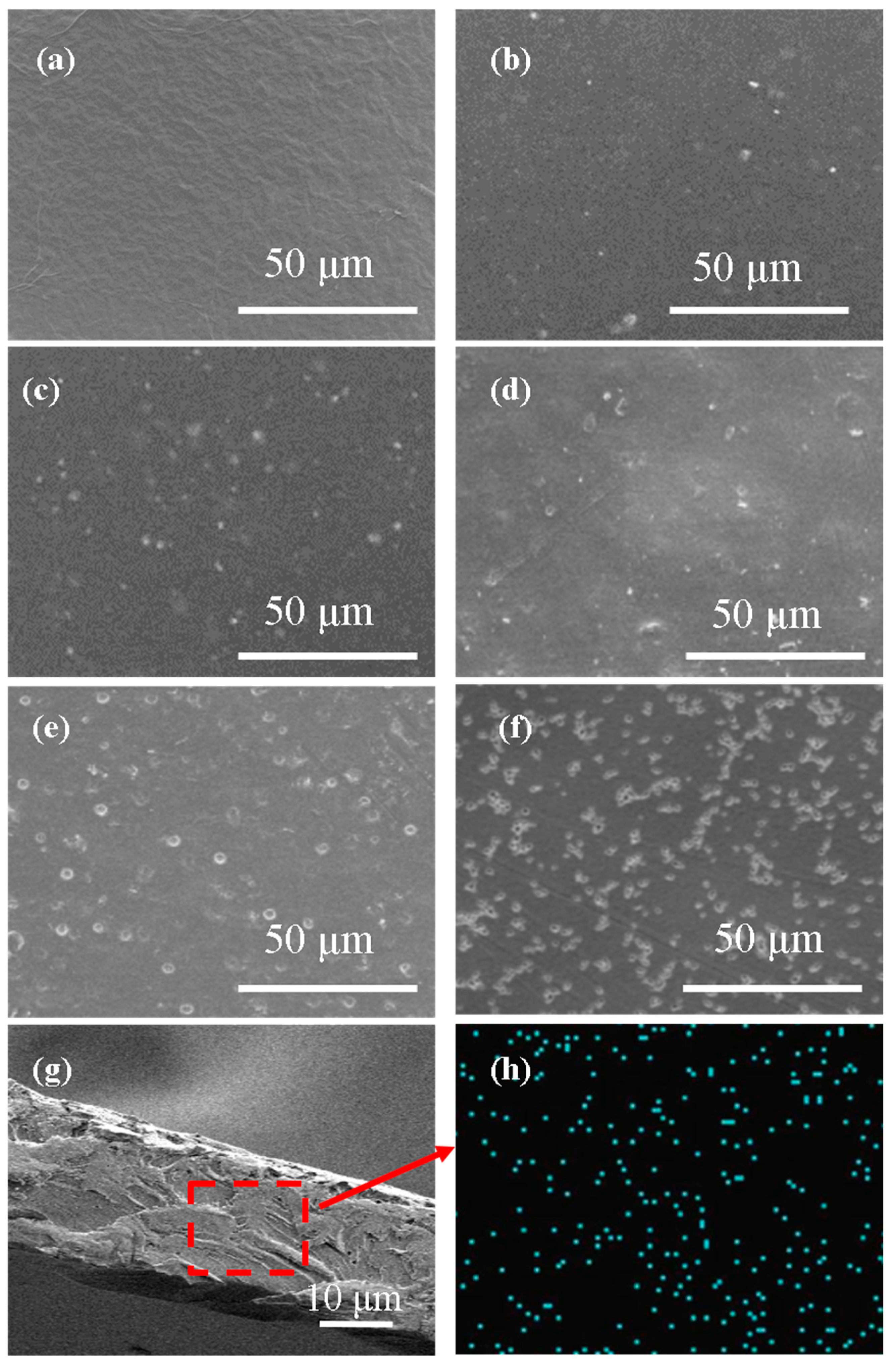 Membranes 13 00389 g004