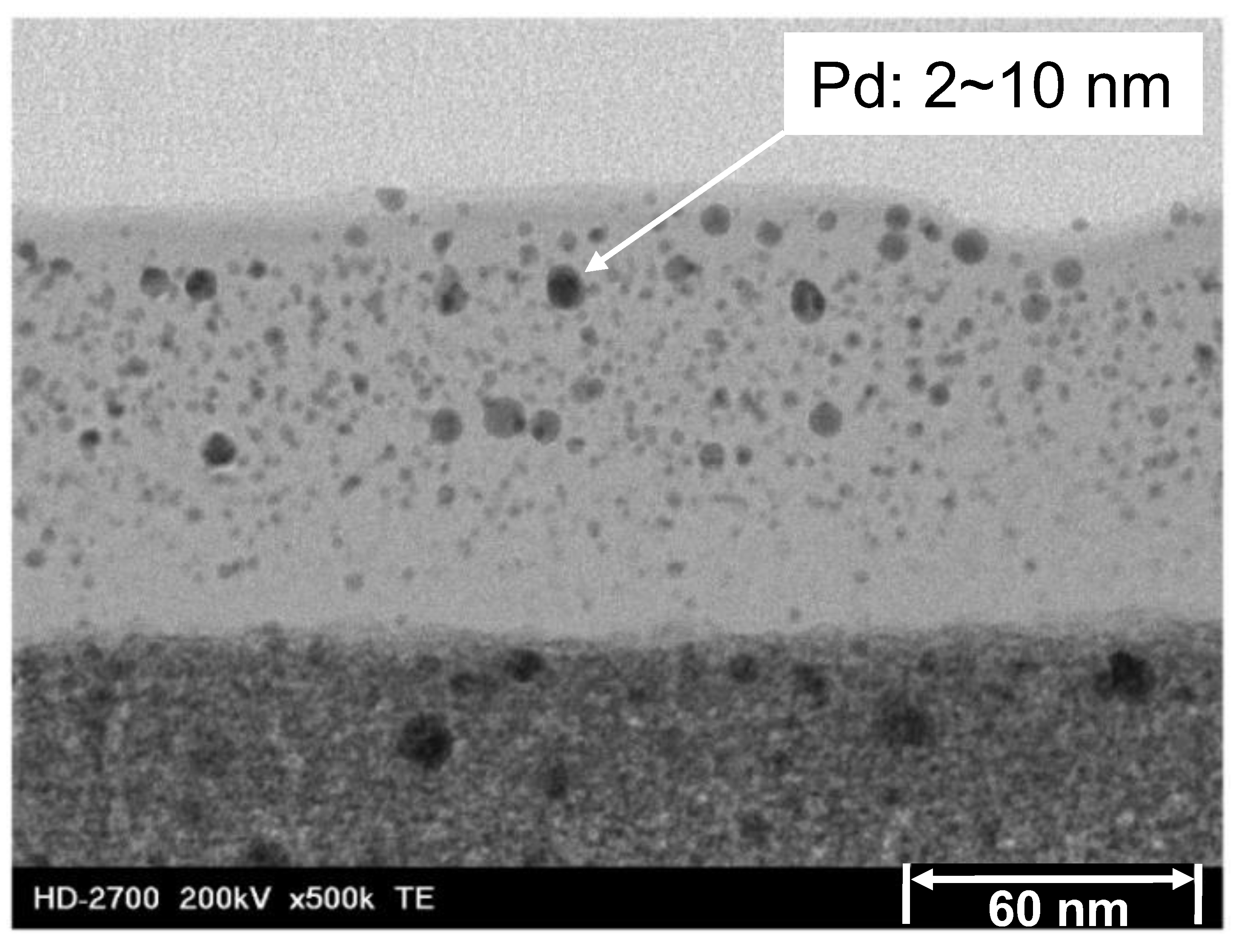 Membranes 13 00390 g003