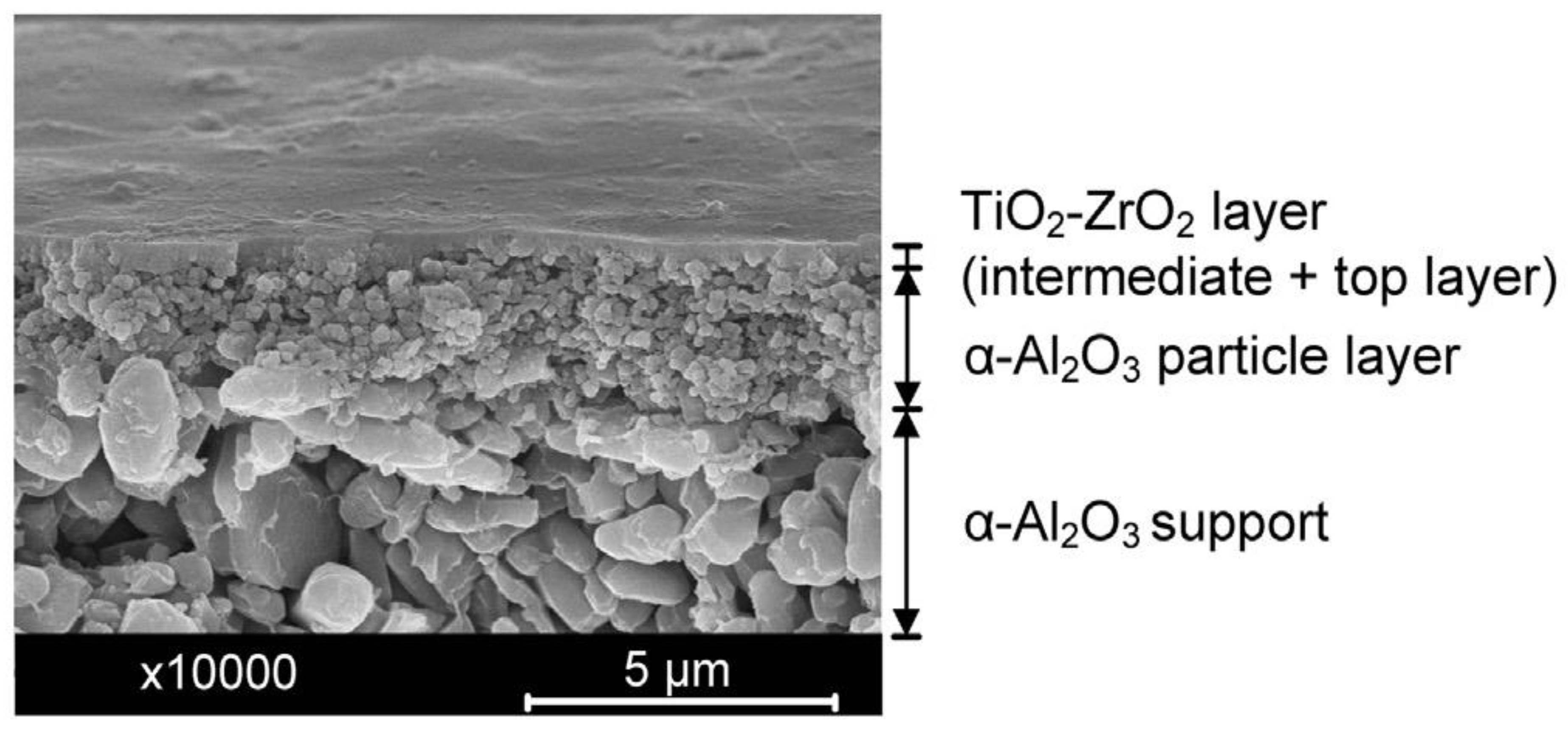 Membranes 13 00390 g004