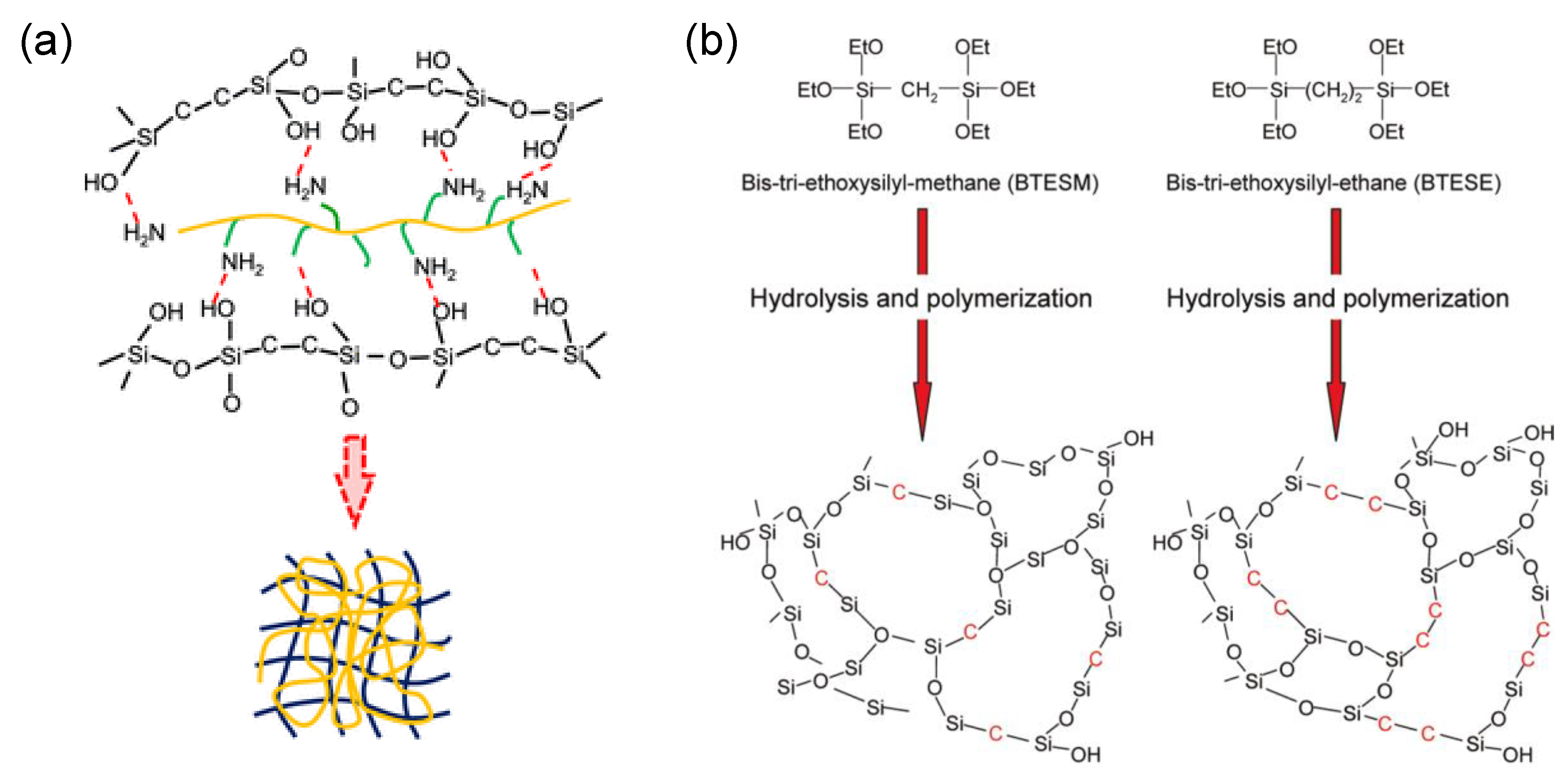 Membranes 13 00390 g005