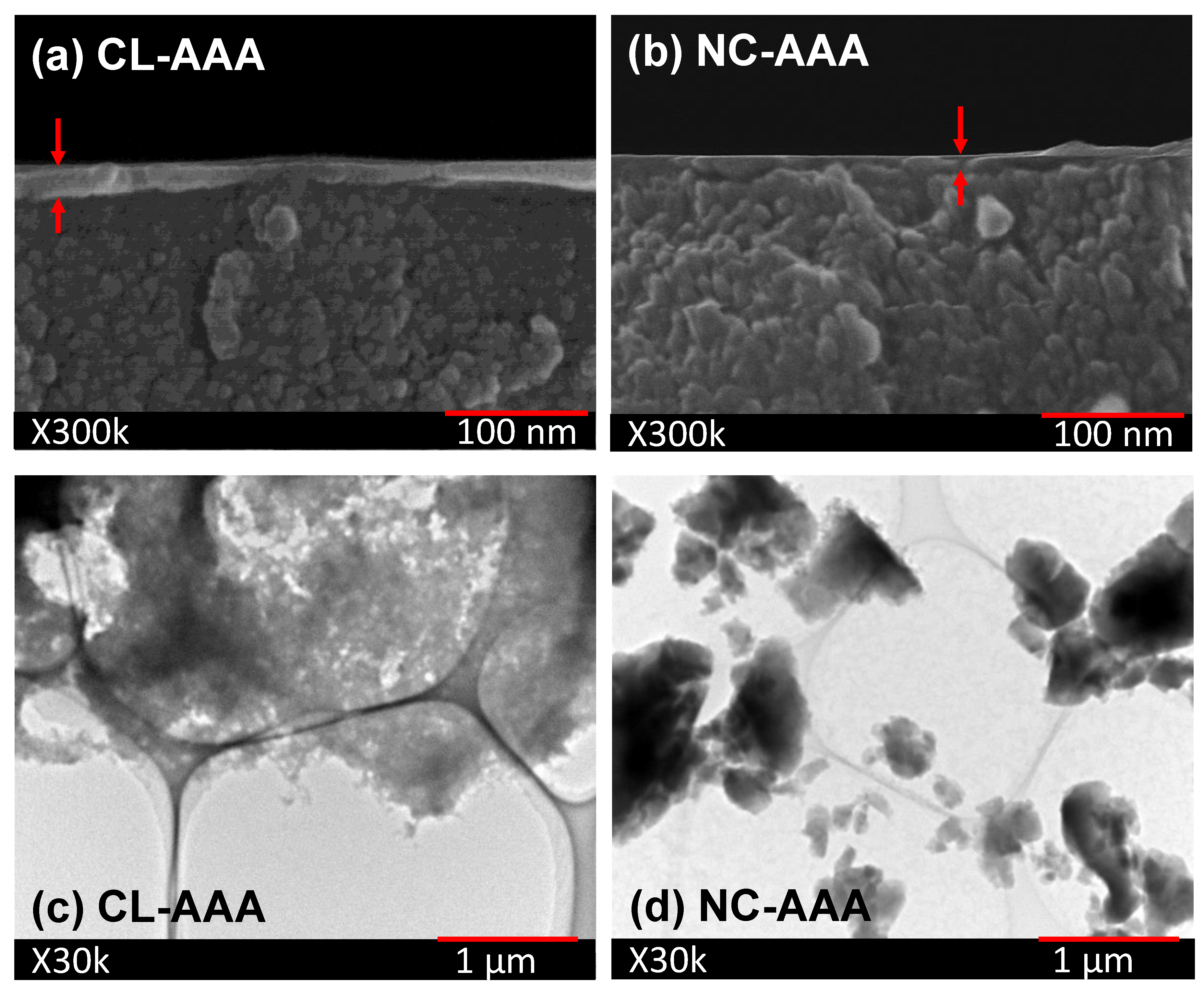 Membranes 13 00390 g015