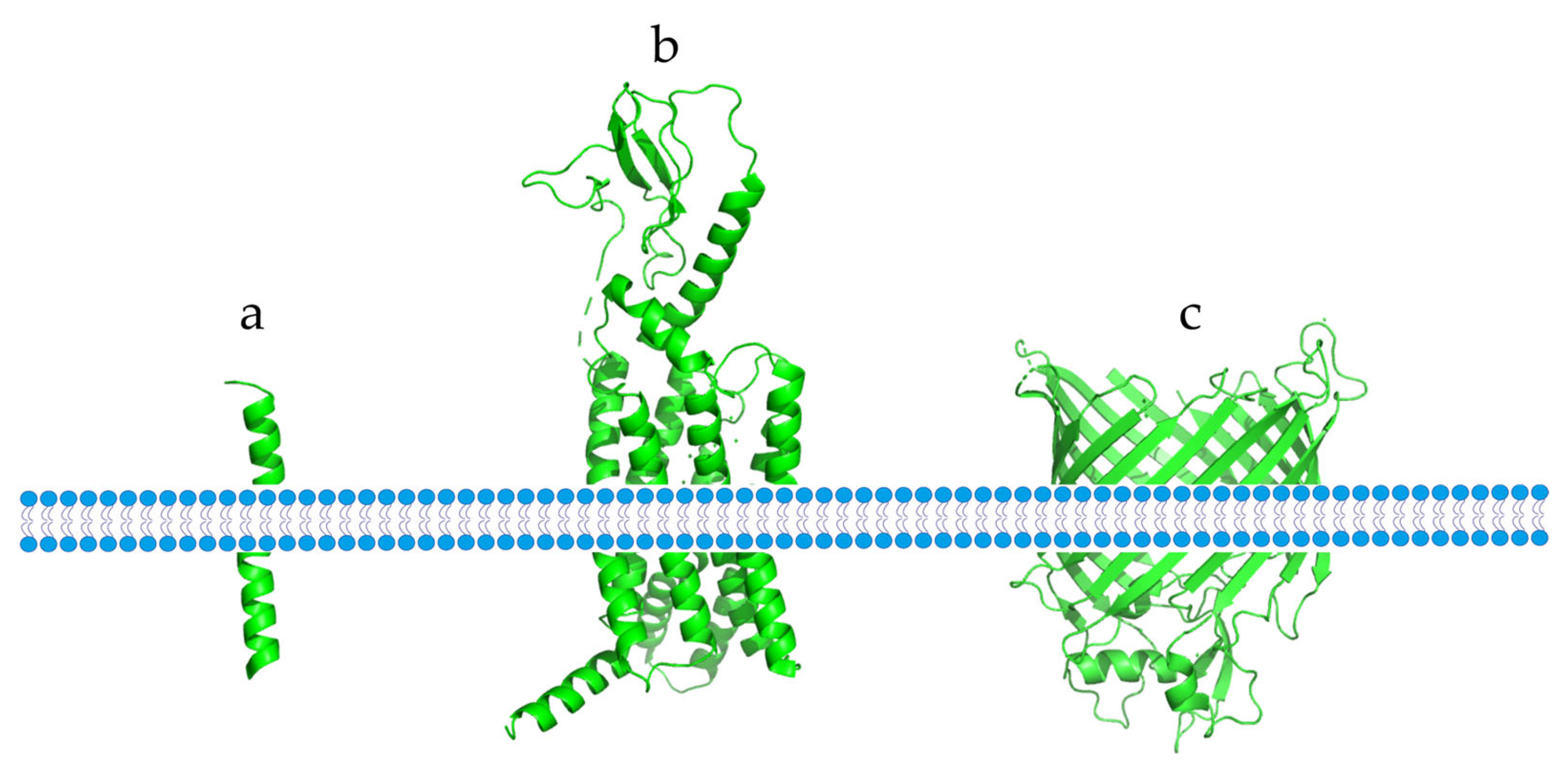 Membranes 13 00393 g001