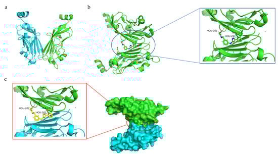 Membranes 13 00393 g002
