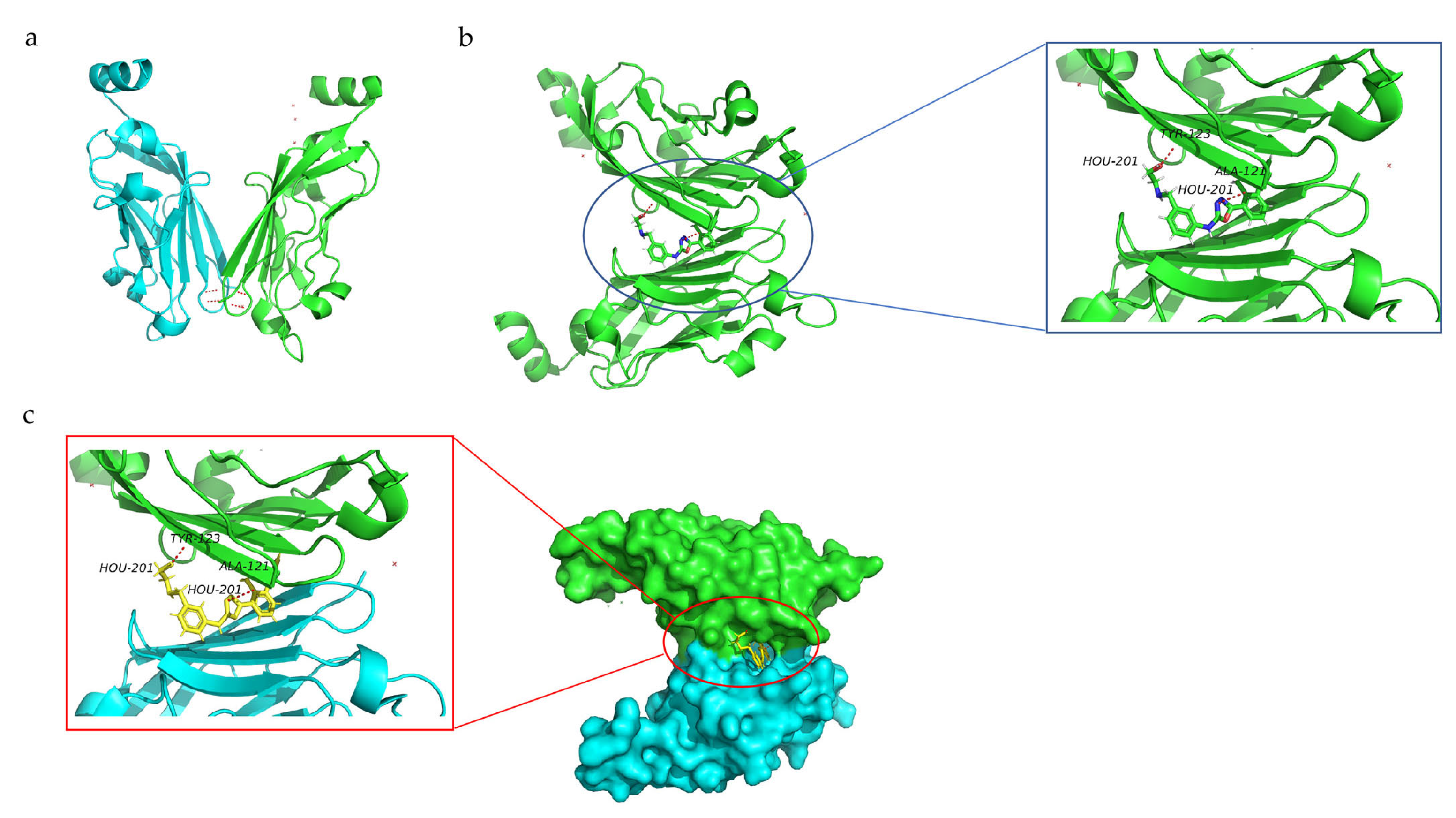 Membranes 13 00393 g002
